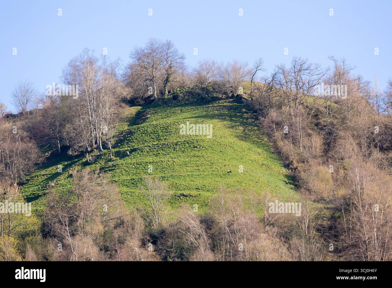 Paesaggio intorno al villaggio di Trascastro nella valle di Leitariegos nelle Asturie, Spagna Foto Stock