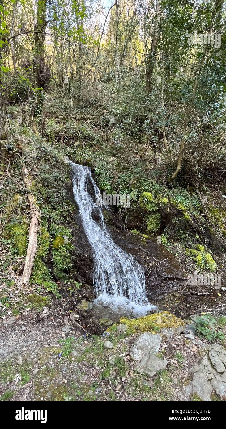 Paesaggio intorno al villaggio di Trascastro nella valle di Leitariegos nelle Asturie, Spagna Foto Stock