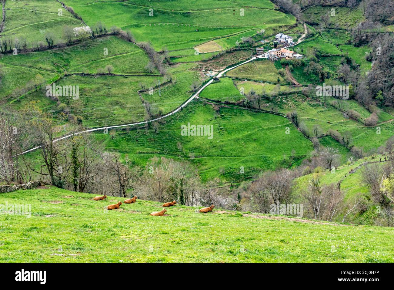 Paesaggio intorno al villaggio di Trascastro nella valle di Leitariegos nelle Asturie, Spagna Foto Stock