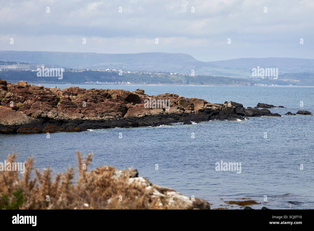 skernaghan point islandmagee county antrim irlanda del nord regno unito Foto Stock