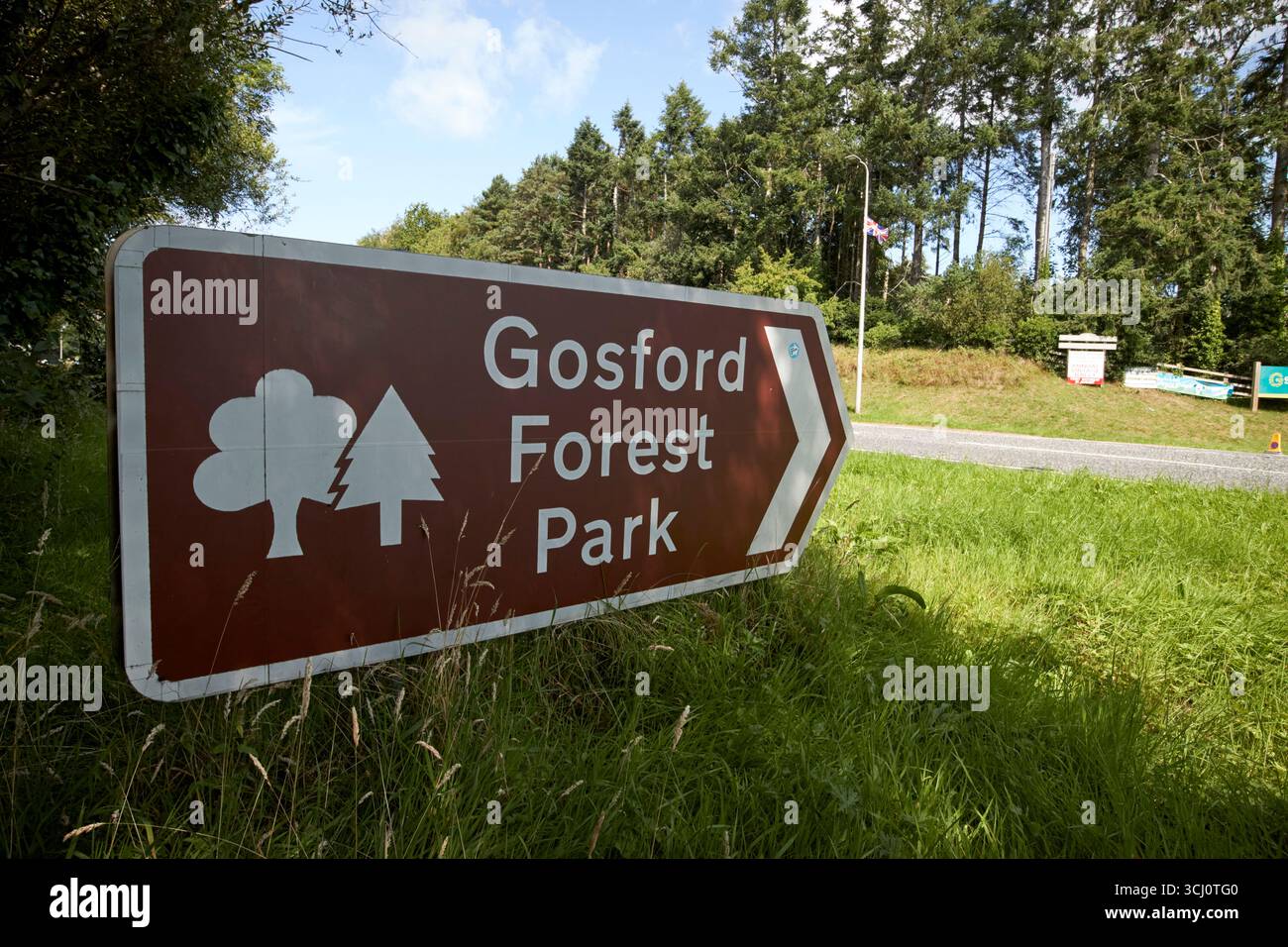 parco forestale di gosford contea di markethill armagh irlanda del nord regno unito Foto Stock