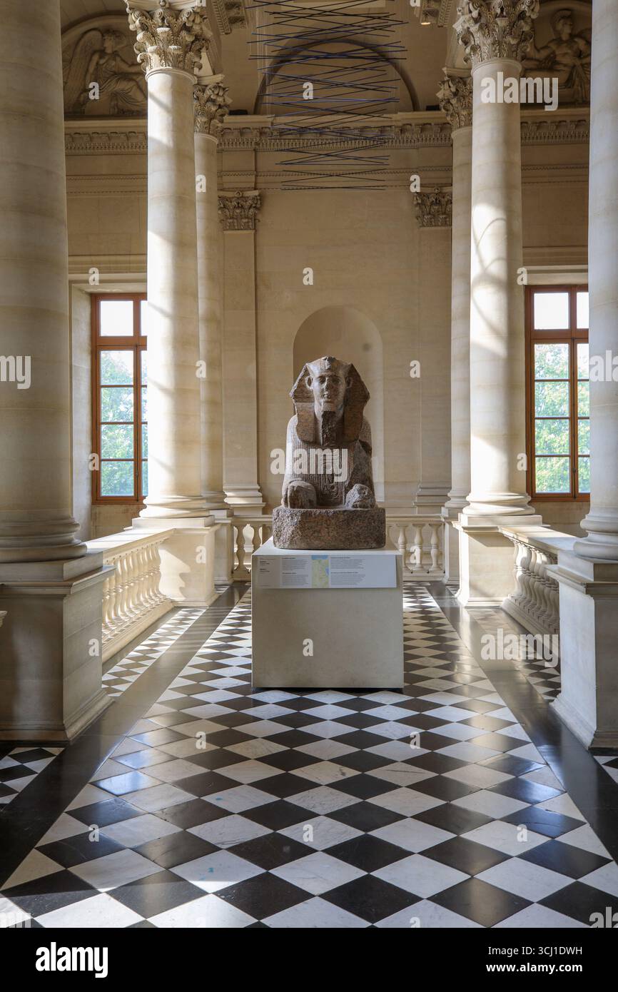 Francia, regione Ile de France, Parigi 1° arrondissement, Musée du Louvre (museo), Dipartimento delle Antichità egizie, Sfinge trovata a Tanis, l'Escalier du Midi Foto Stock