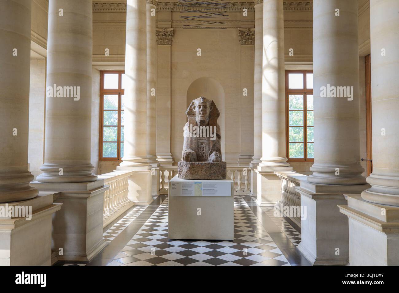 Francia, regione Ile de France, Parigi 1° arrondissement, Musée du Louvre (museo), Dipartimento delle Antichità egizie, Sfinge trovata a Tanis, l'Escalier du Midi Foto Stock
