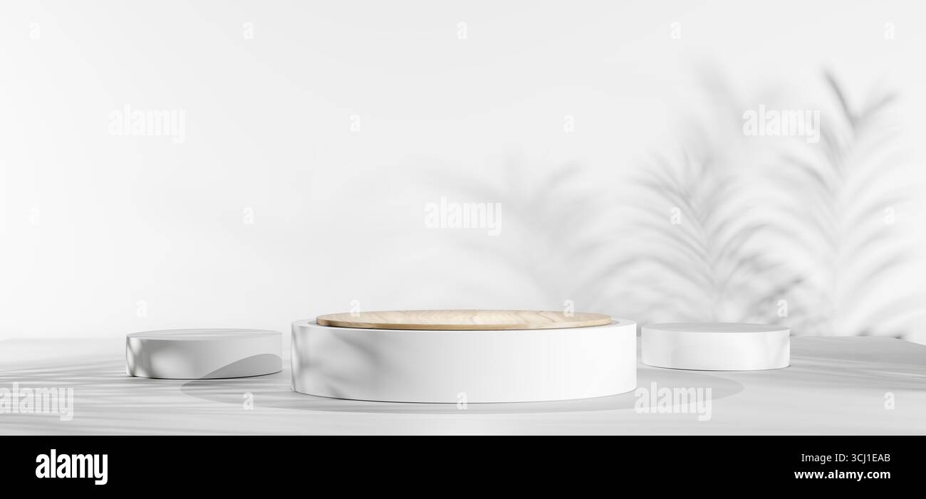 Rendering 3D di piedistalli minimalisti in bianco e legno con ombre morbide di foglie di palma, sfondo pulito ideale per bellezza, moda, cosmetici, gioielli o piccoli Foto Stock