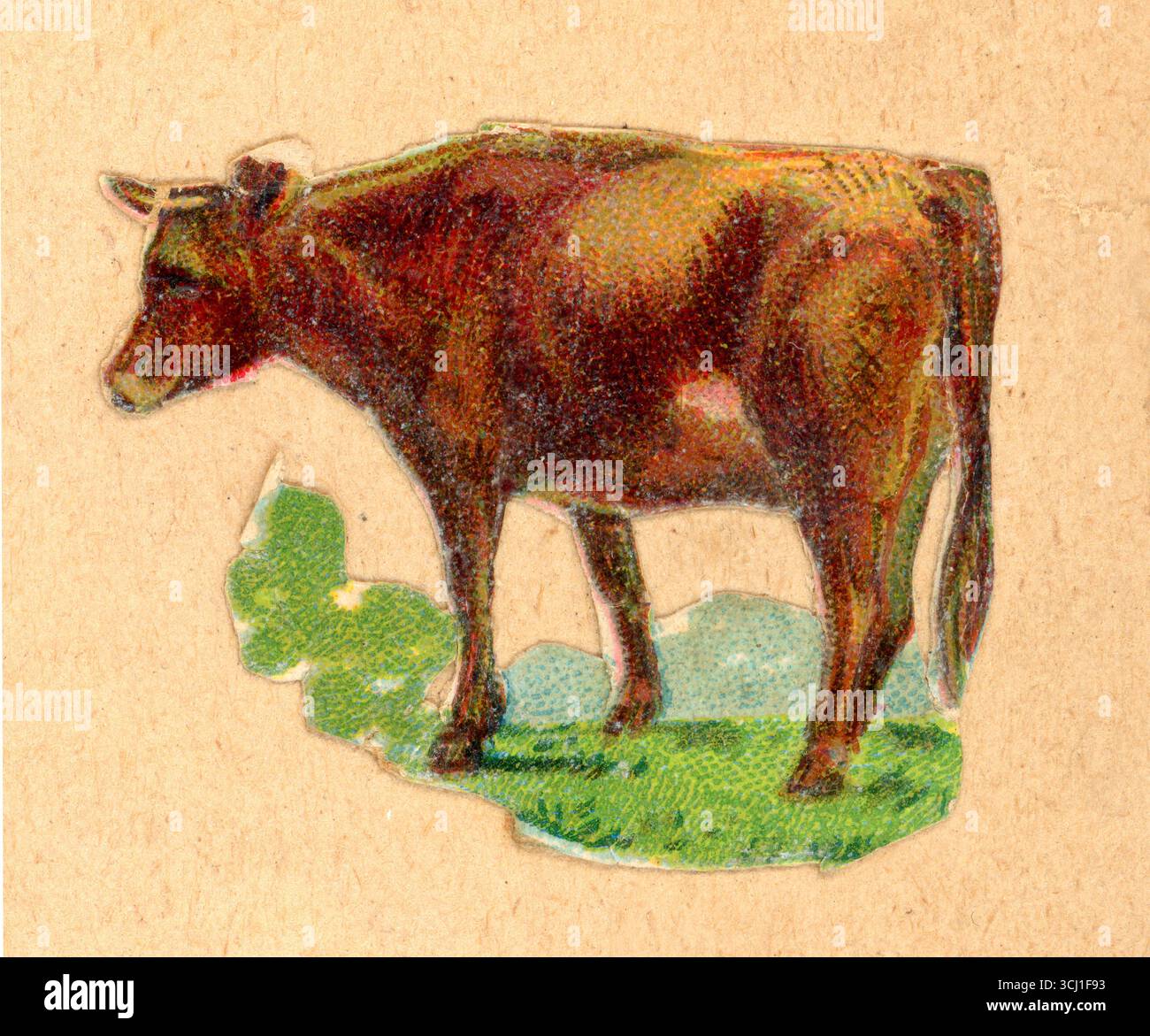 Pezzo originale di carta goffrata vittoriana di decoupage cromo-diecut da rottami vittoriani di mucca, probabilmente razza Devonshire, intorno al 1890 Foto Stock