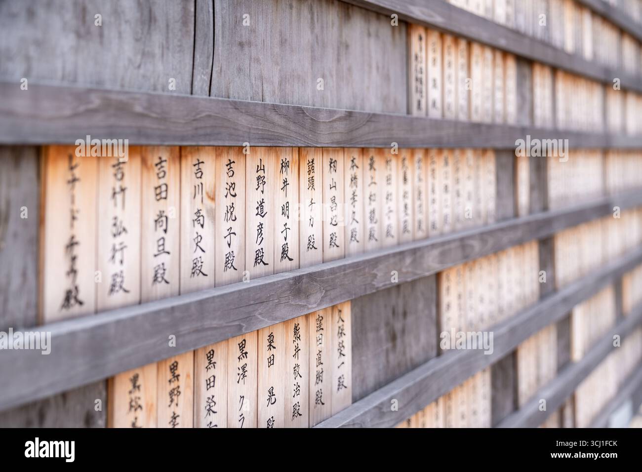 Tokyo, Giappone - 6 agosto 2024: Dettagli all'interno del famoso tempio Zojo ji durante una giornata di sole Foto Stock