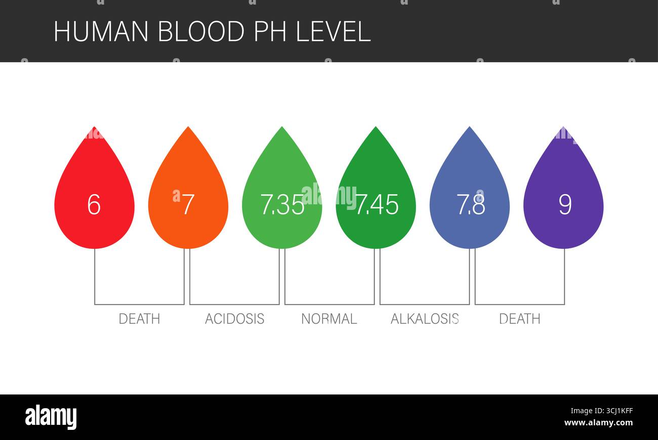 Scala del pH ematico. Simbolo di goccia di sangue umano. Illustrazione del vettore piatto per uso medico Illustrazione Vettoriale