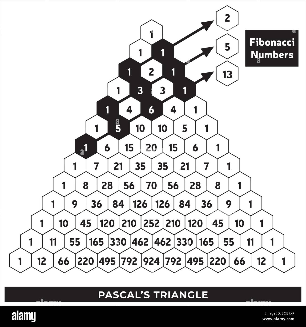 Pascal's Triangle and Fibonacci Sequence – Black and White Mathematical Representation Vector Illustration Illustrazione Vettoriale