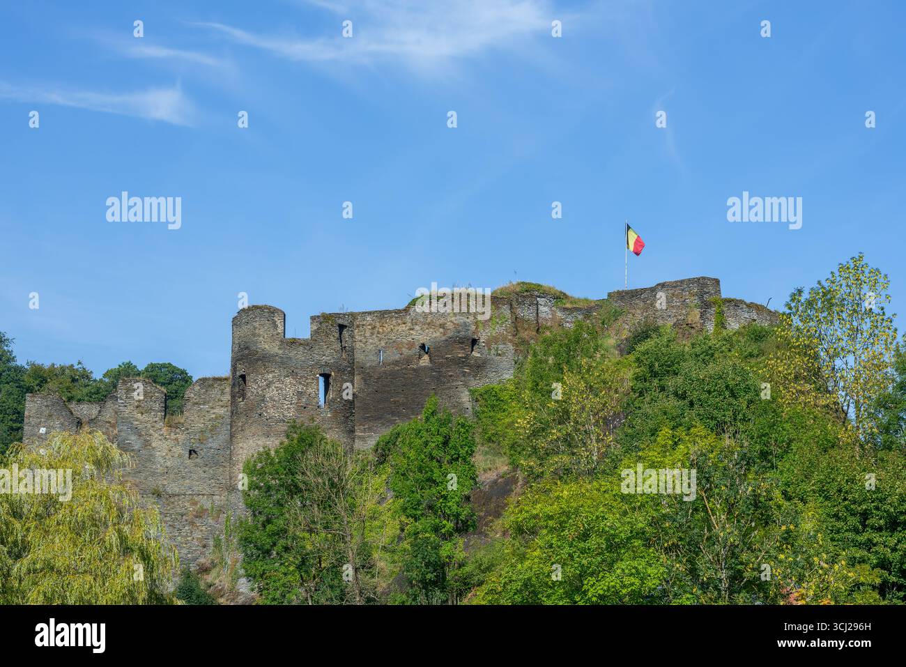 Castello medievale in rovina del IX secolo che domina la città di la Roche-en-Ardenne in estate, provincia di Lussemburgo, Ardenne, Vallonia, Belgio Foto Stock