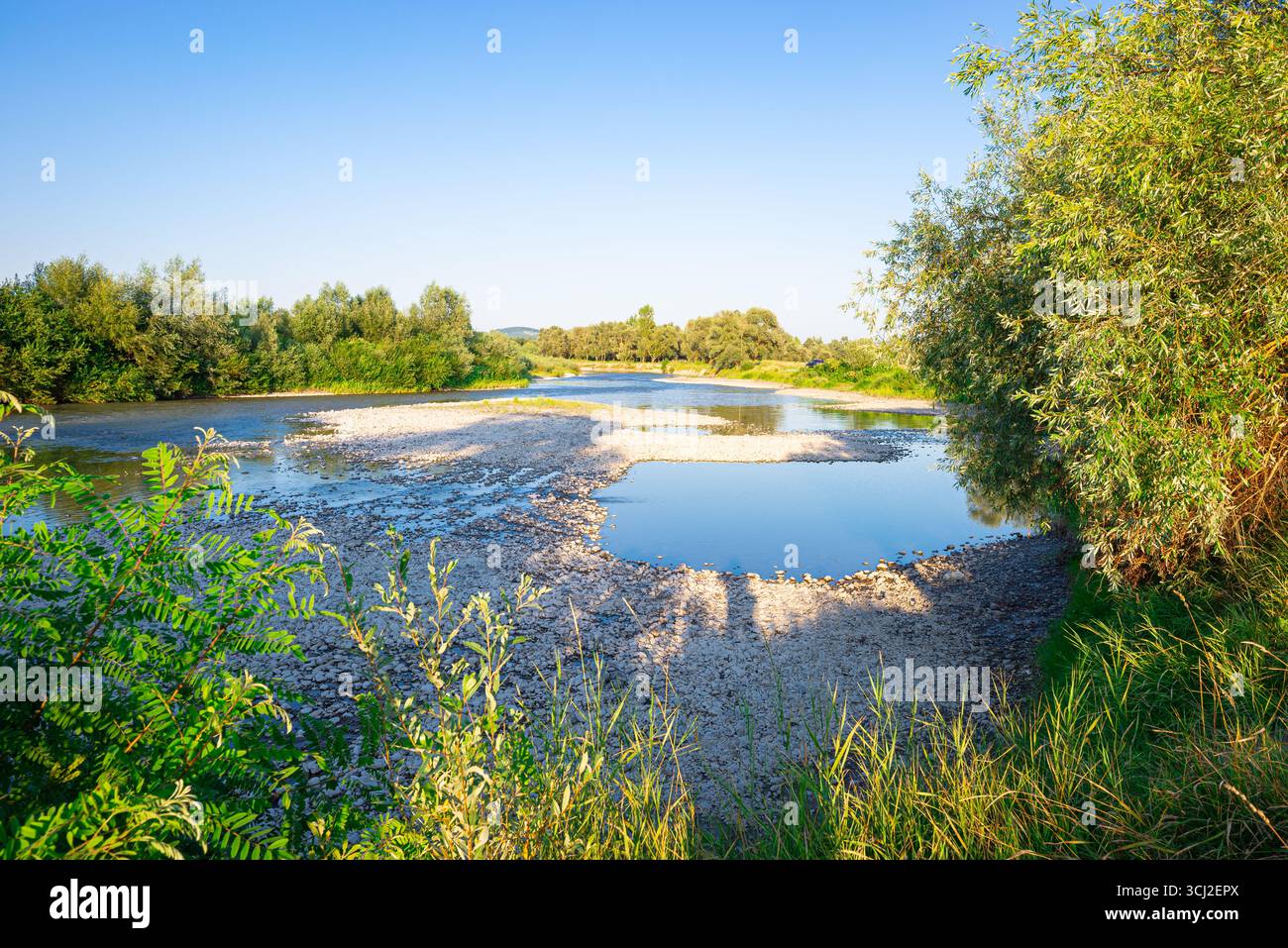 Splendida vista delle pozzanghere con acqua vicino al fiume Mures a nord di Targu Mures nella Transilvania centrale, Romania. Foto Stock