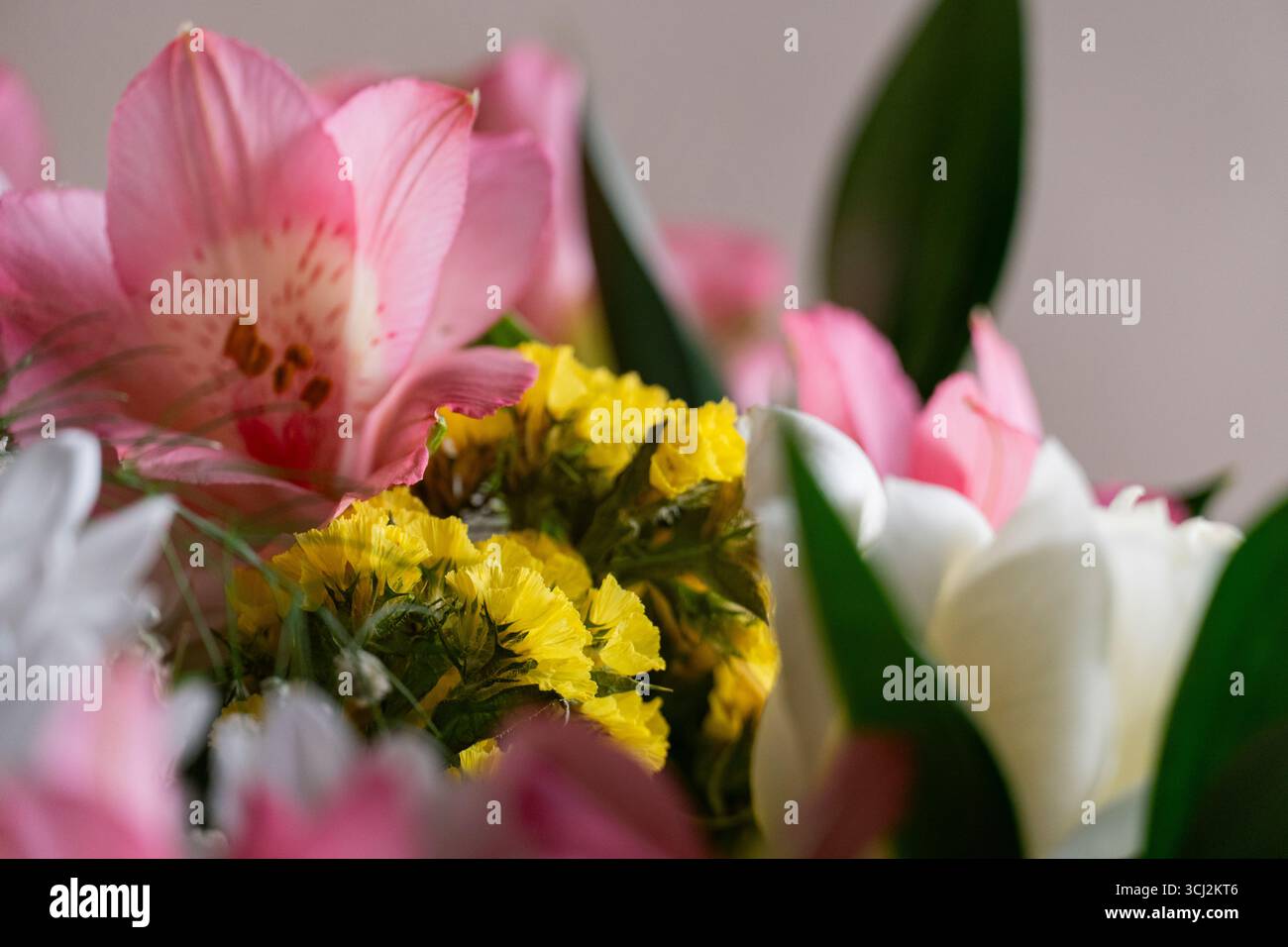 Primo piano di alstroemeria rosa, margherite bianche e rose nel verde lussureggiante, con un morbido sfondo bokeh, perfetto per temi floreali e decorativi Foto Stock