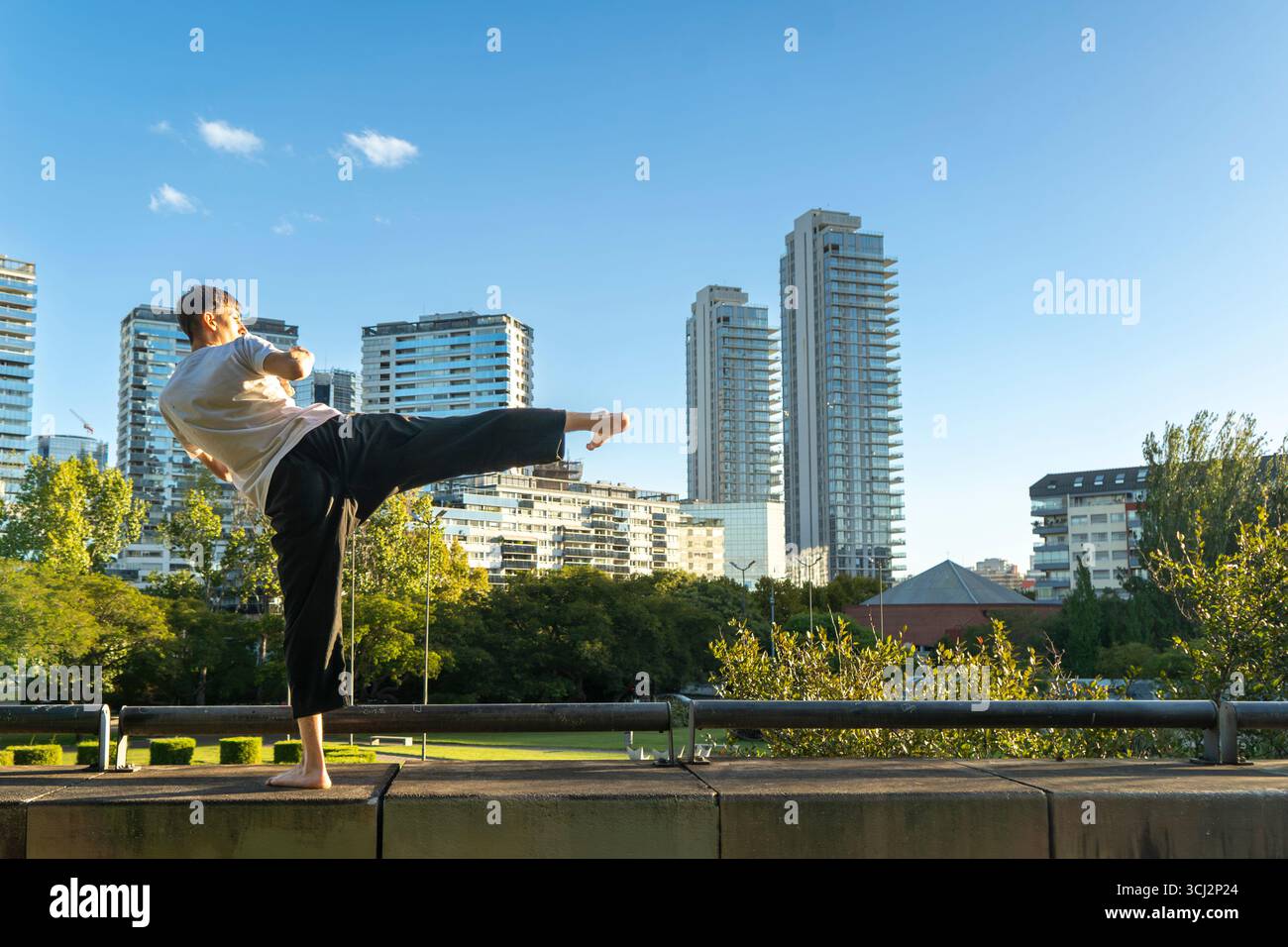Un esperto di Taekwondo che si confronta con lo skyline moderno della città. Foto Stock