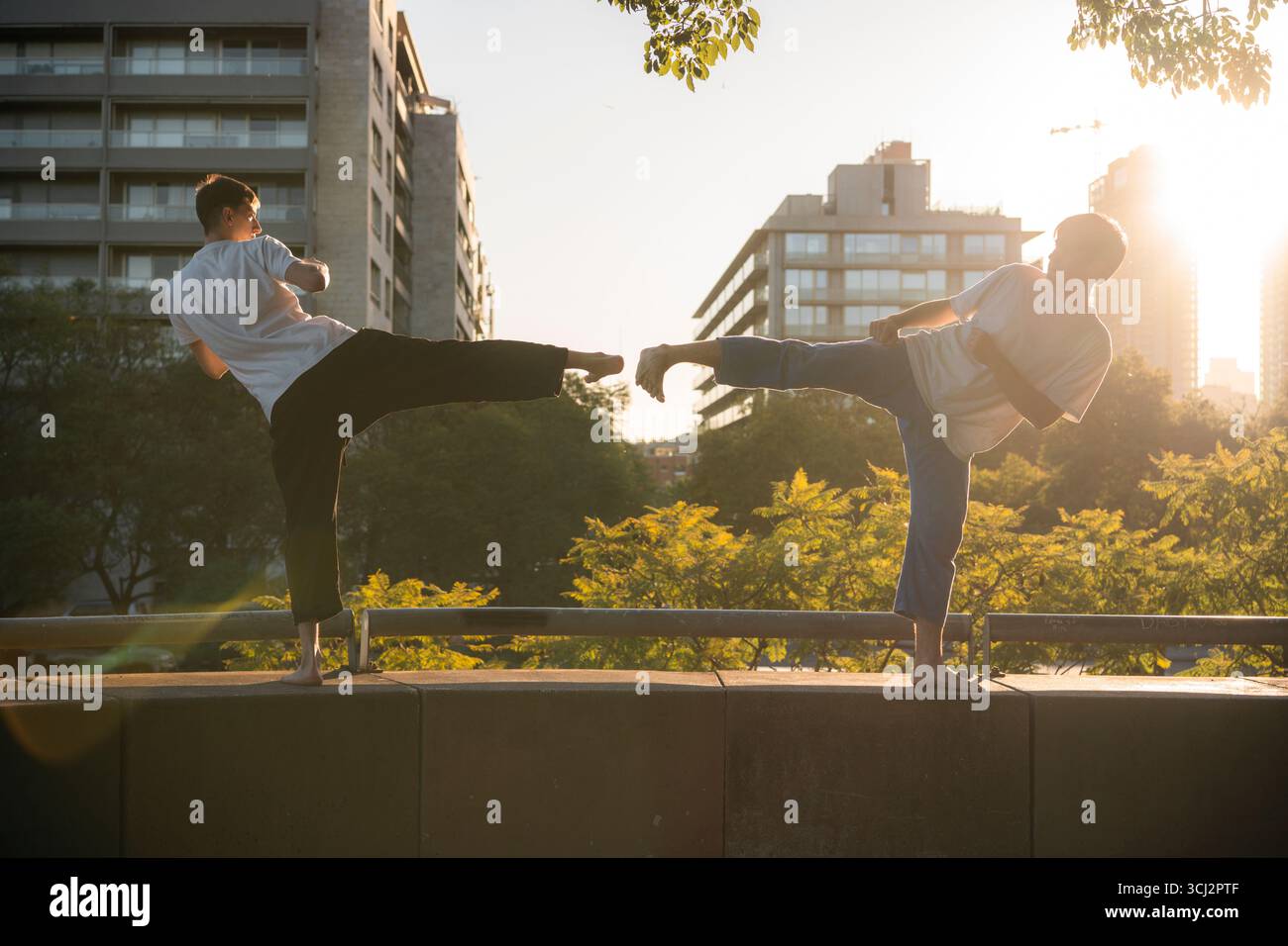 Due giovani uomini che eseguono calci sincronizzati di Taekwondo al tramonto. Foto Stock