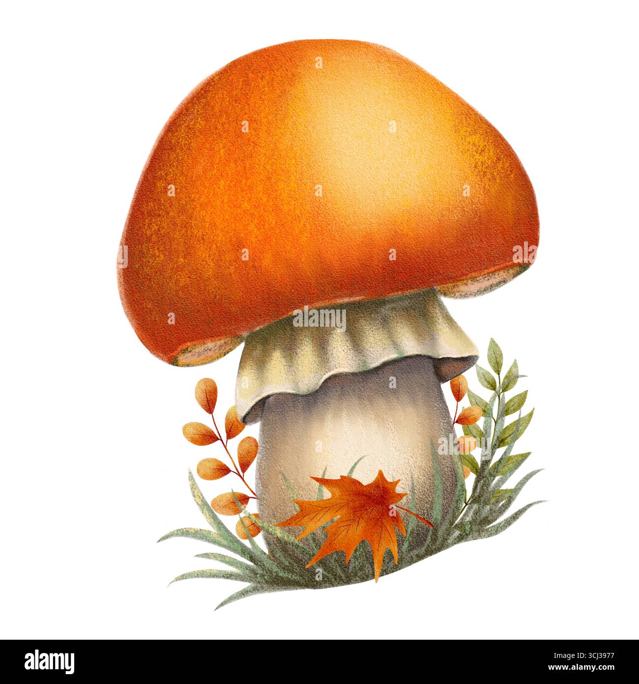 Illustrazione ad acquerello di un fungo d'arancia con foglie autunnali e erba. Stile morbido. Ideale per decorazioni, confezioni e adesivi a tema autunnale Foto Stock