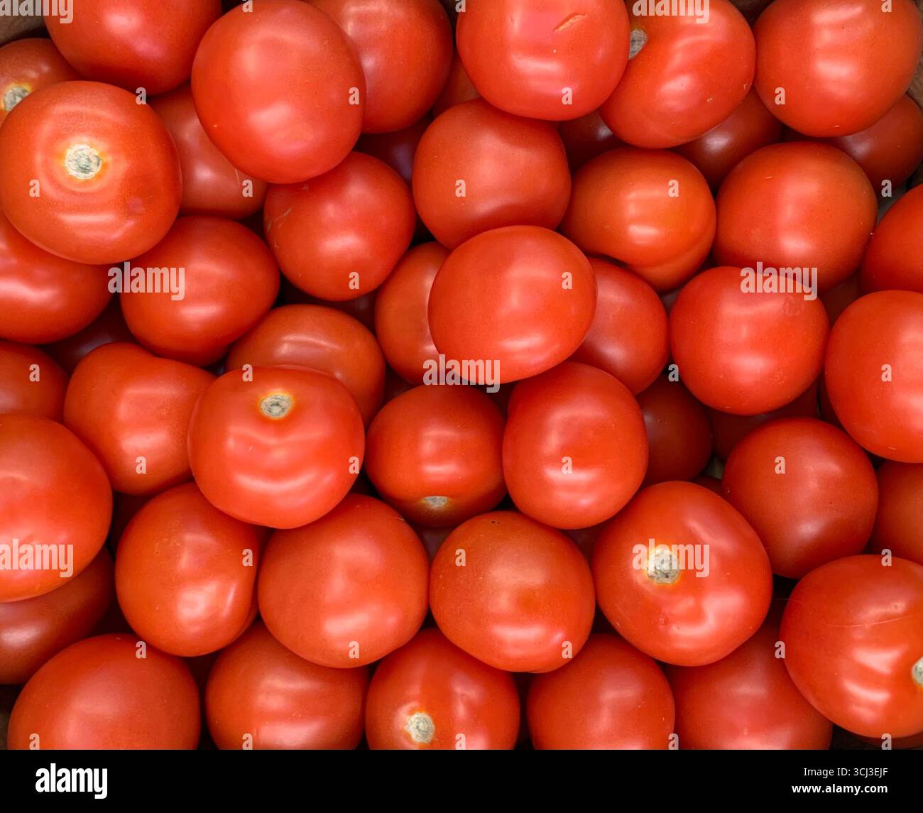 Pomodori rossi - Immagine stock catturata con smartphone