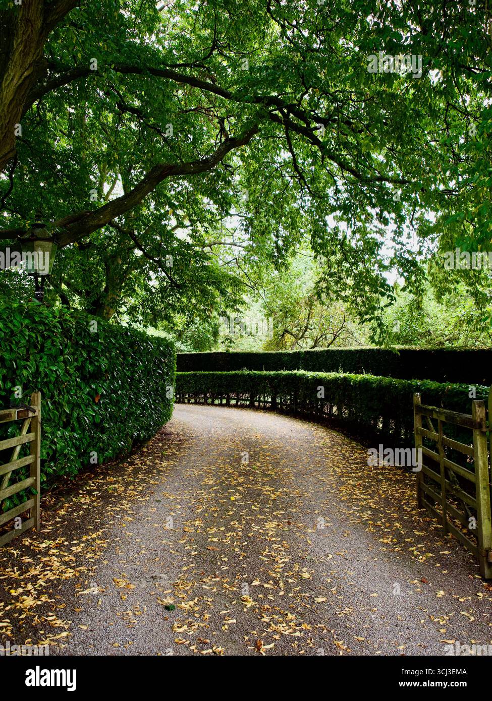 Nun Monkton Parish Village, North Yorkshire Foto Stock