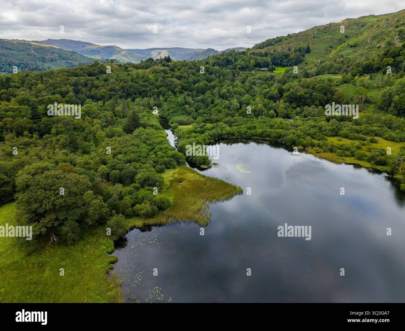Vista aerea dall'alto dell'acqua Rydal, circondata da una lussureggiante foresta verdeggiante nel Lake District Foto Stock