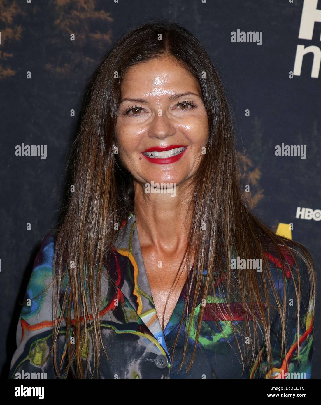 New York, Stati Uniti. 4 settembre 2025. Jill Hennessy partecipa alla prima "Task" di HBO a New York tenutasi al Perelman Performing Arts Center il 4 settembre 2025 a New York, NY © Steven Bergman/AFF-USA.COM Credit: AFF/Alamy Live News Foto Stock
