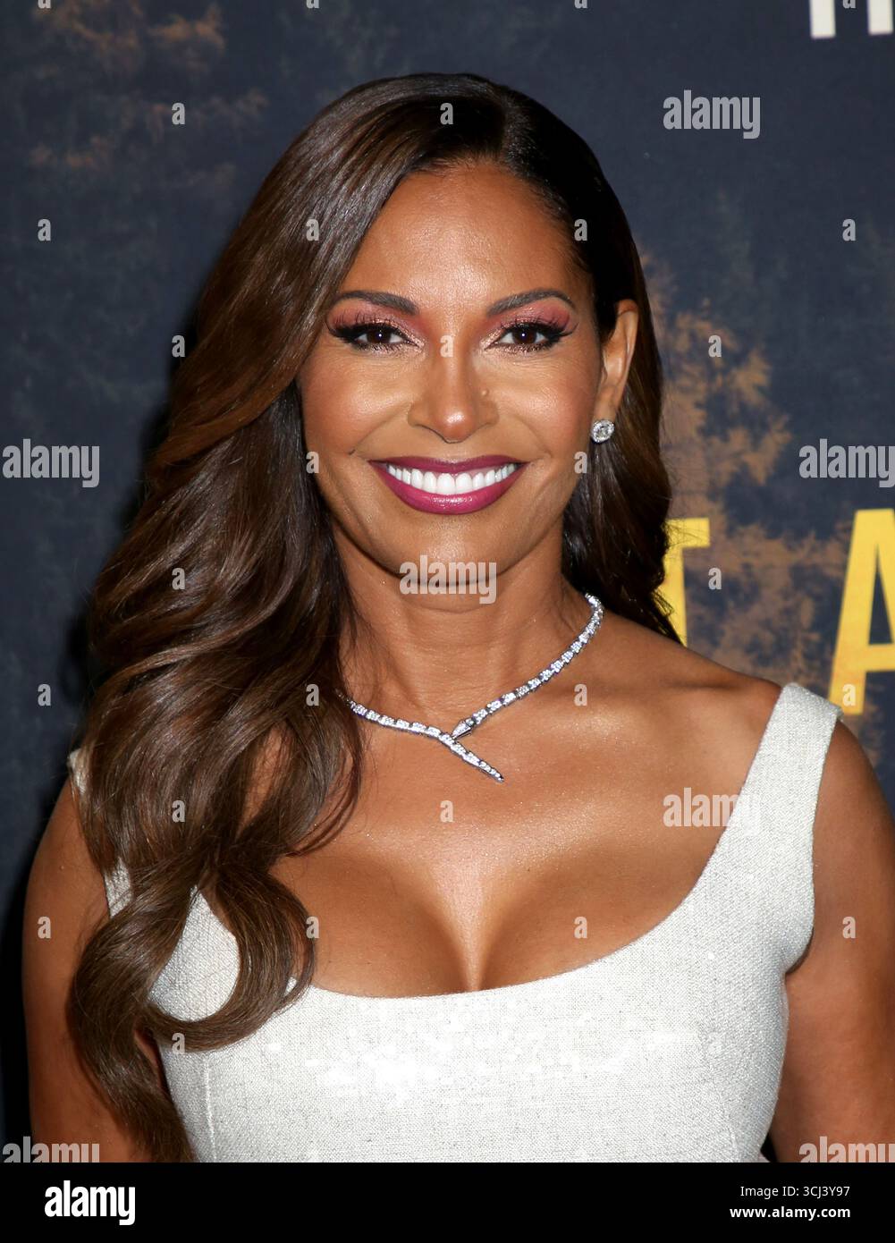 New York, Stati Uniti. 4 settembre 2025. Salli Richardson-Whitfield partecipa alla prima "Task" di HBO a New York tenutasi al Perelman Performing Arts Center il 4 settembre 2025 a New York, NY © Steven Bergman/AFF-USA.COM Credit: AFF/Alamy Live News Foto Stock