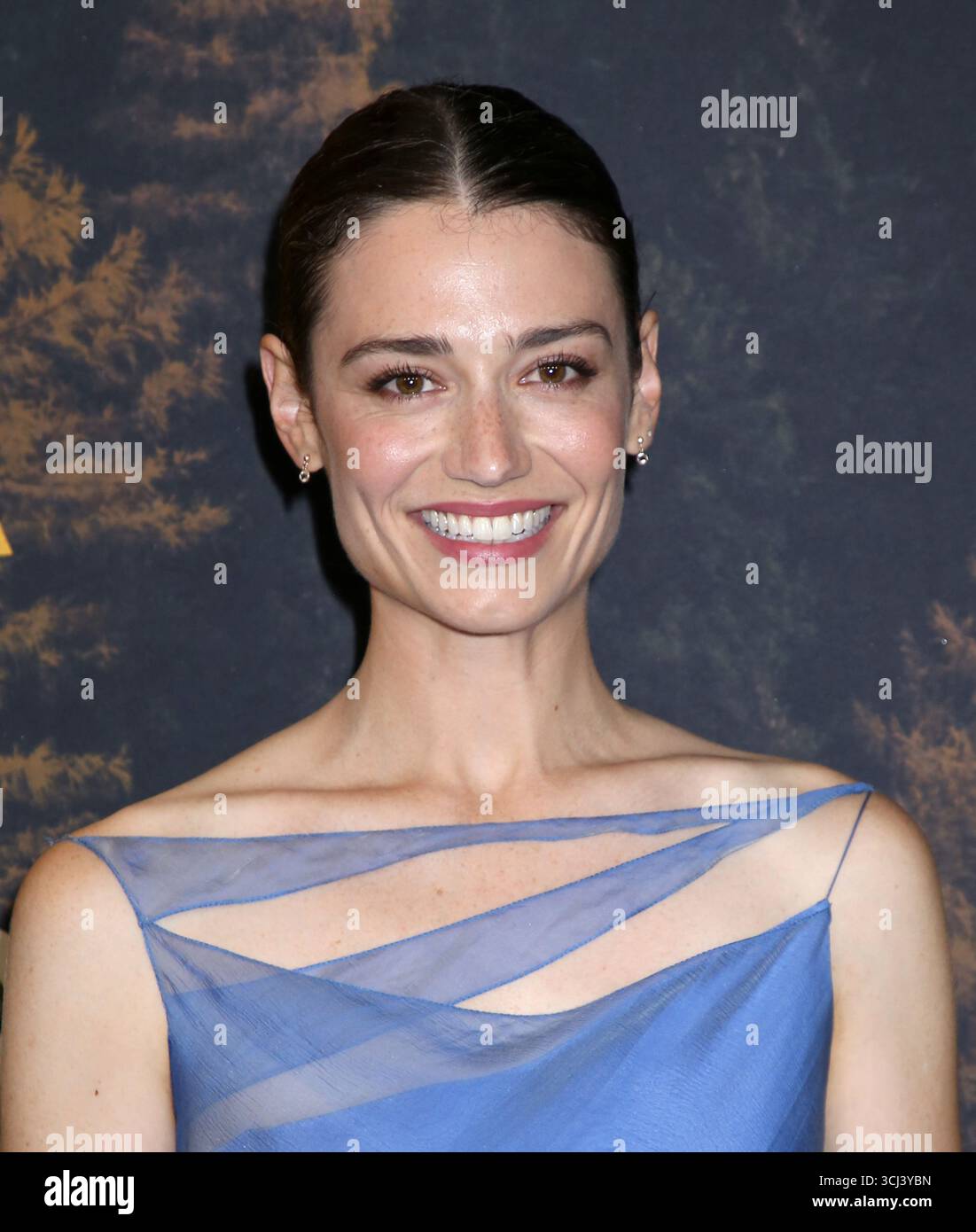 New York, Stati Uniti. 4 settembre 2025. Hannah Shealy partecipa alla prima "Task" di HBO a New York tenutasi al Perelman Performing Arts Center il 4 settembre 2025 a New York, NY © Steven Bergman/AFF-USA.COM Credit: AFF/Alamy Live News Foto Stock
