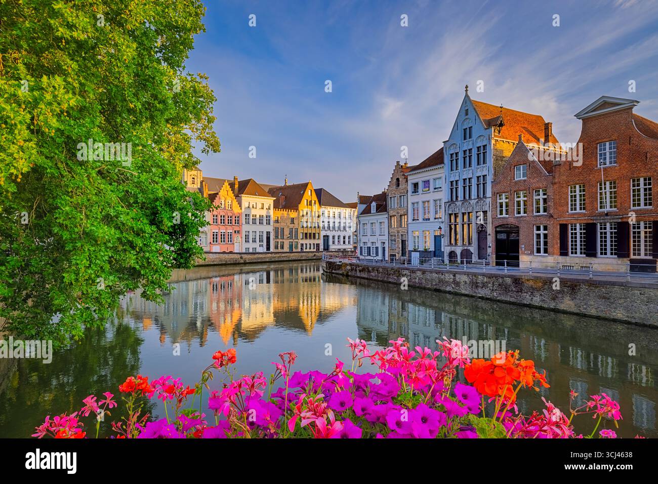 Pittoresca vista sul canale di Bruges, in Belgio, con case storiche colorate con tetti spioventi che si riflettono sull'acqua, incorniciate da vivaci fiori in primo piano. Foto Stock Pittoresca vista sul canale di Bruges, in Belgio, con case storiche colorate con tetti spioventi che si riflettono sull'acqua, incorniciate da vivaci fiori in primo piano. Foto Stock