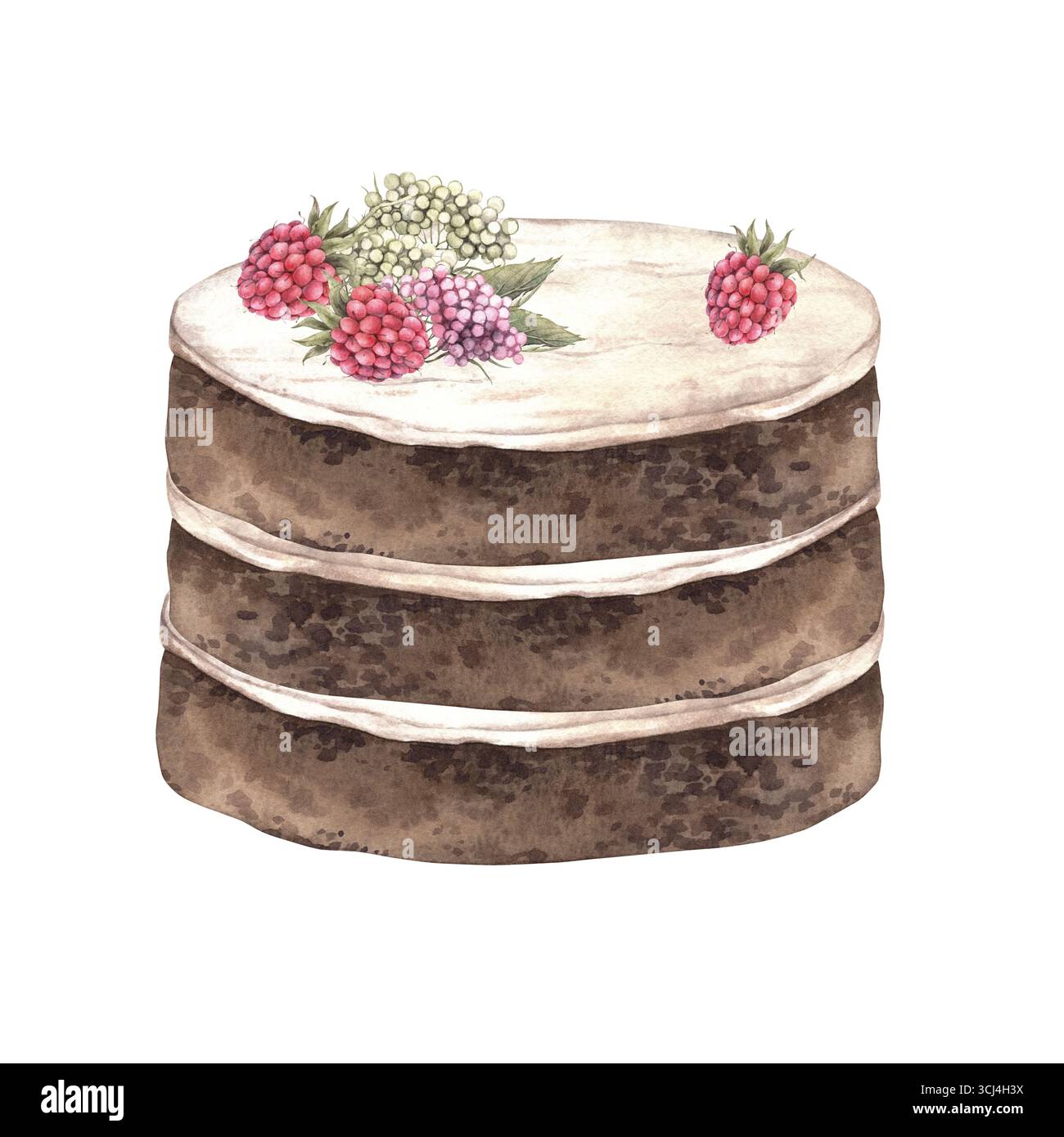 Torta multistrato con strati di cioccolato, panna bianca, fiori e lamponi. L'illustrazione ad acquerello di una torta con decorazioni è adatta per la decorazione Foto Stock