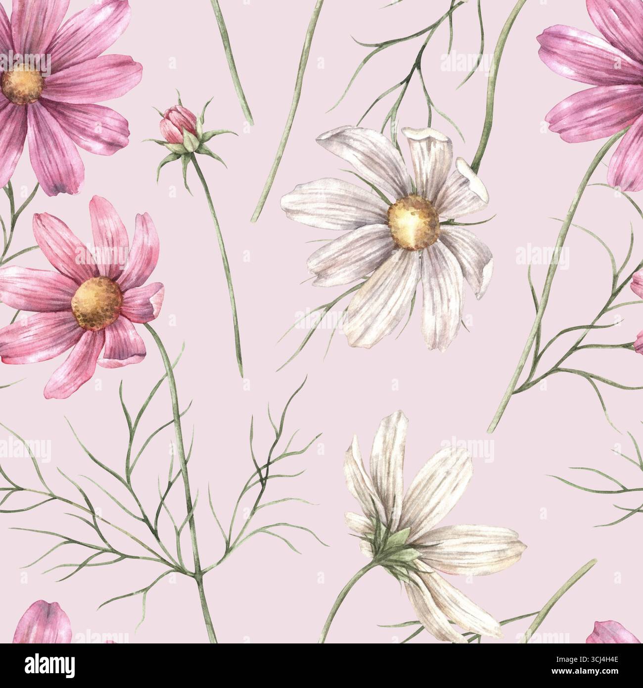 Fiori cosmo rosa e bianco con foglie verdi. Motivo botanico acquerello senza cuciture su sfondo rosa, adatto per avvolgere carta e stampe tessili Foto Stock