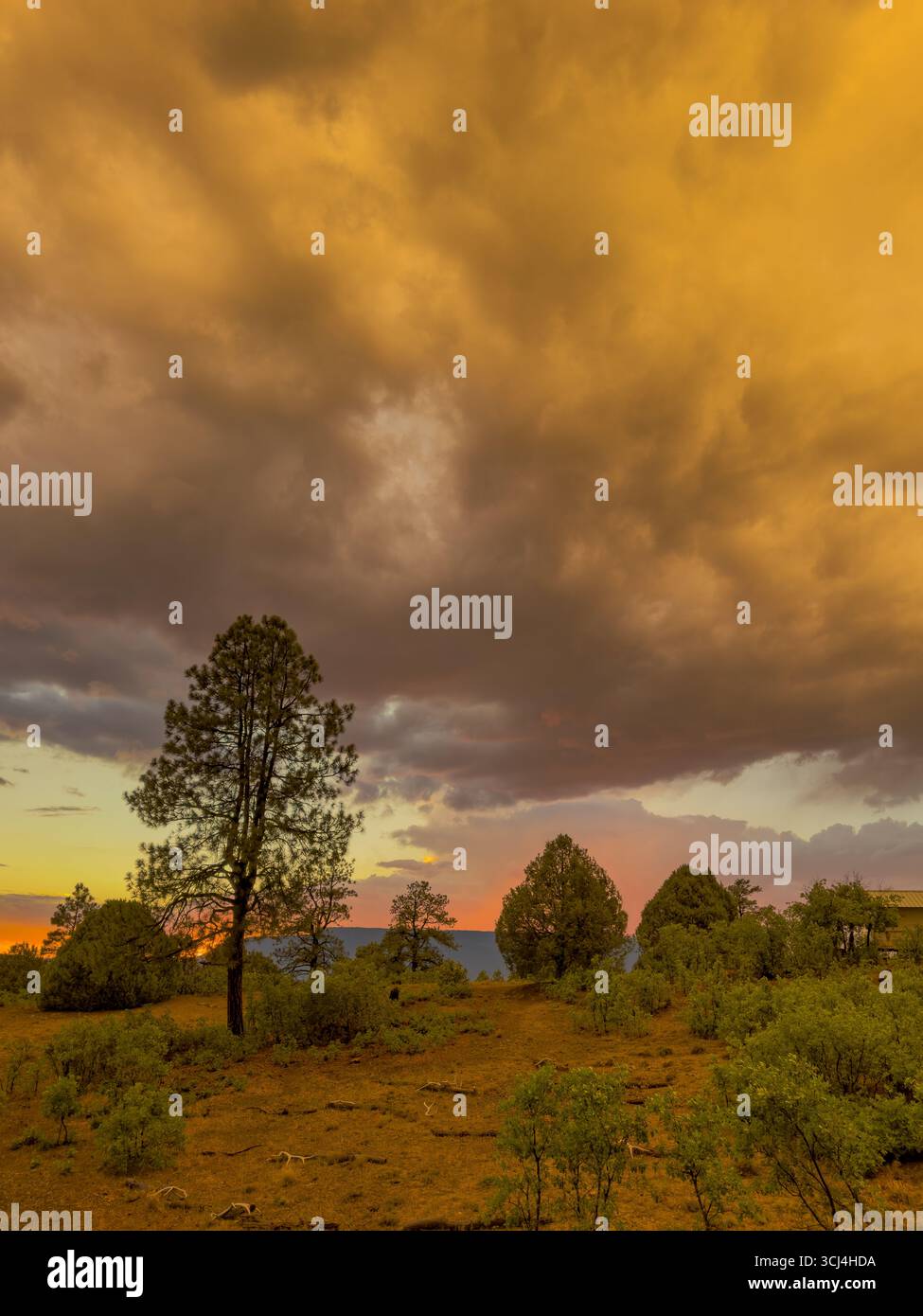 Al tramonto, grandi nuvole di stratocumulo si estendono sulla terra dei ranch con pini e ginepri nel New Mexico settentrionale, Stati Uniti. Foto Stock