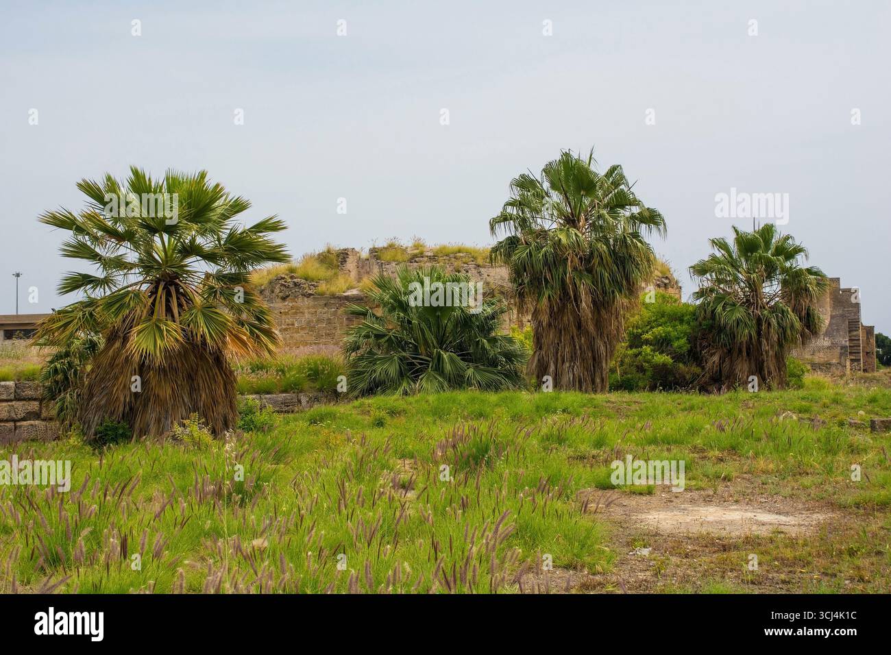 Rovine di Castello a Mare a Palermo, Sicilia, Italia. A sinistra, Bastione San Giorgio: Costruito all'inizio del XVI secolo come parte degli aggiornamenti delle fortificazioni spagnole Foto Stock