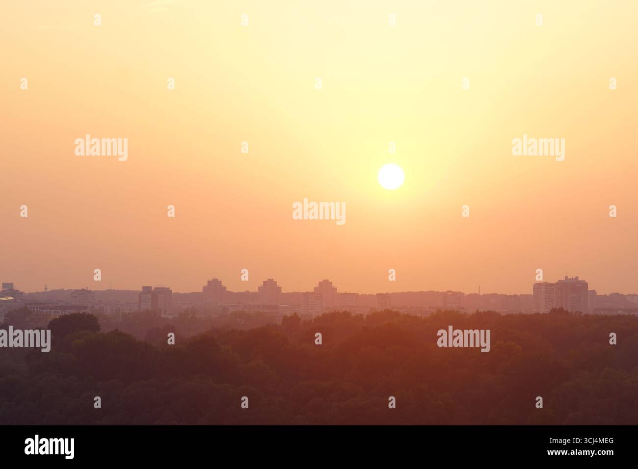 Tramonto sullo skyline di Belgrado. Calde tonalità pastello del cielo serale e sagome di alberi ed edifici moderni. Paesaggio urbano al crepuscolo Foto Stock