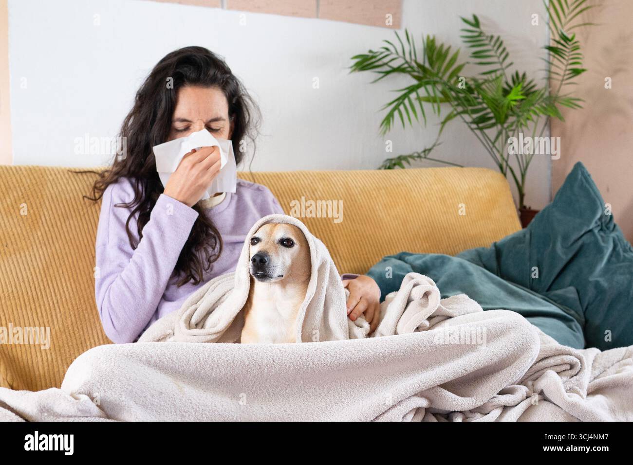 Donna che soffre il naso mentre si siede su un divano con il suo cane, soffre di influenza stagionale o allergie Foto Stock