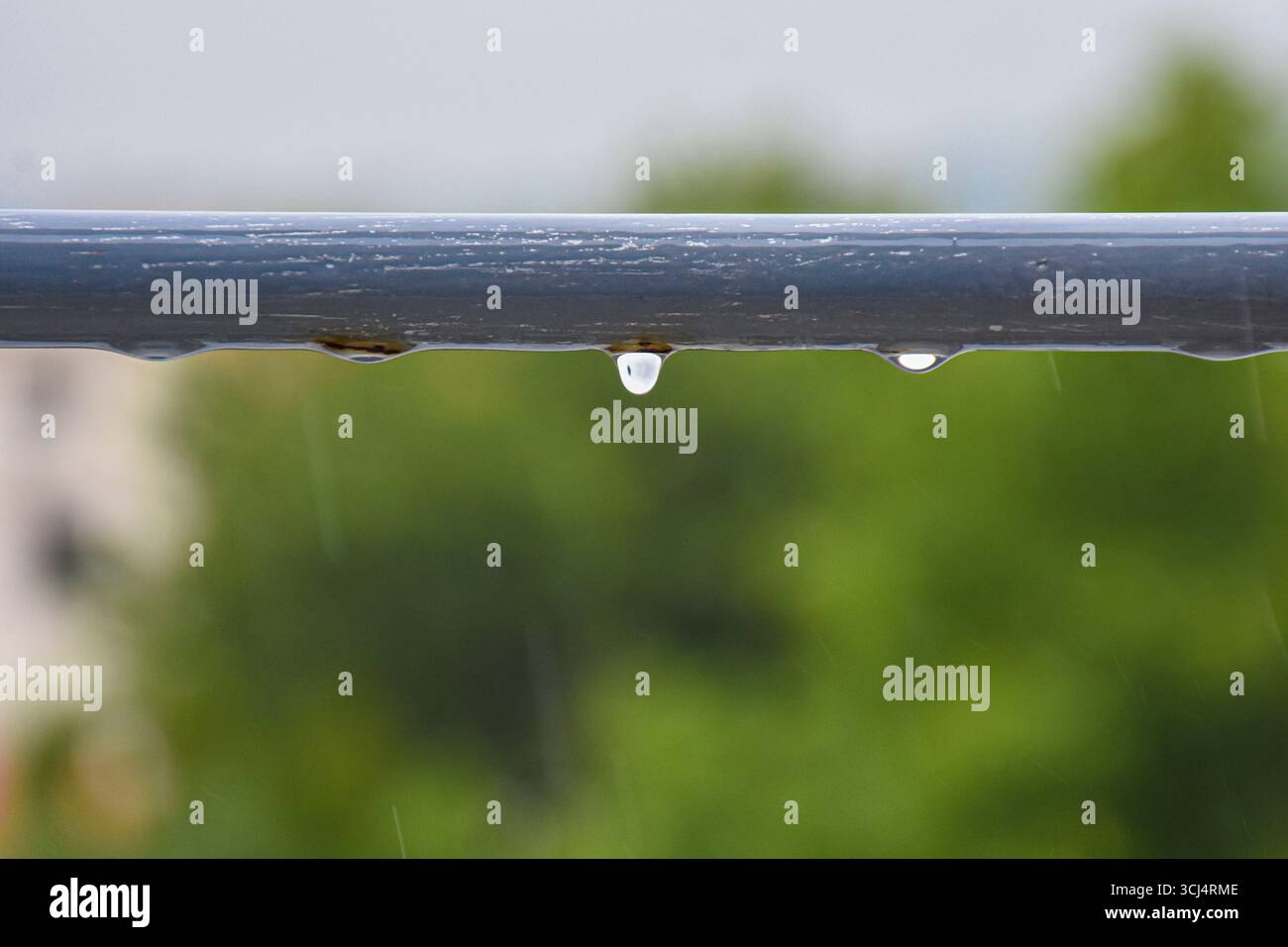 Ringhiera metallica con corrosione e goccioline d'acqua, posizionata di fronte al fogliame verde sfocato. Foto Stock