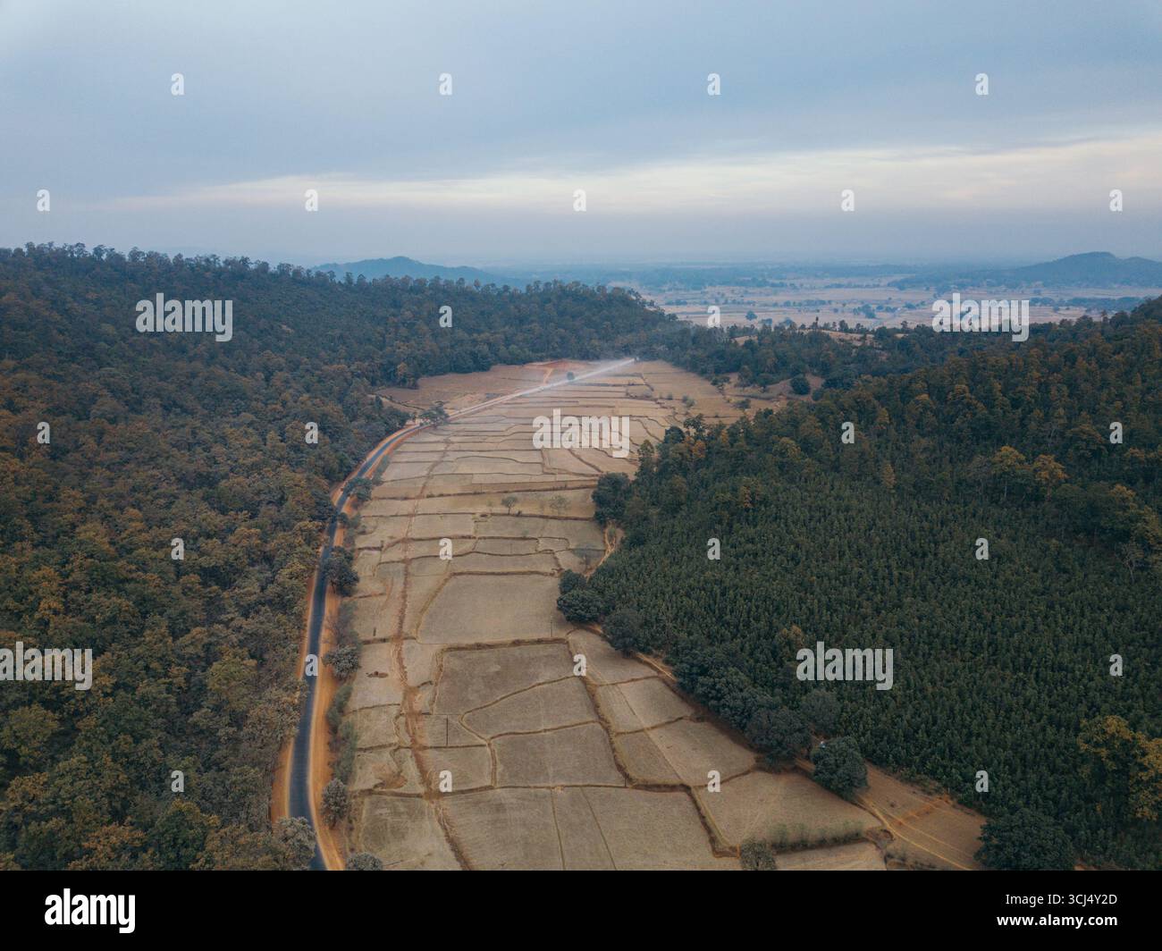 Vista aerea degli ampi campi con i loro motivi geometrici annidati tra fitte foreste sotto un cielo tenue, Raipur, Chhattisgarh, India. Foto Stock