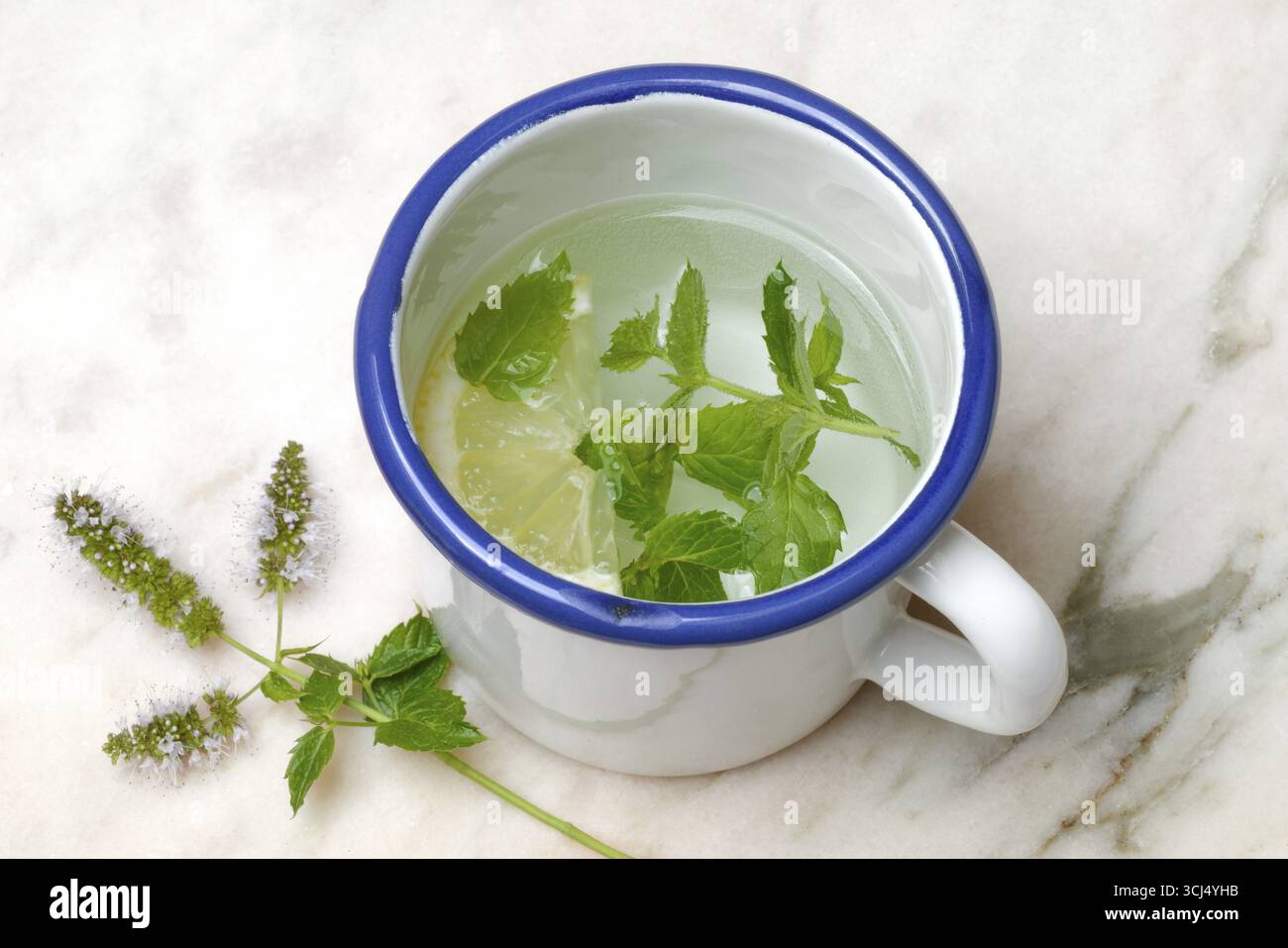 Tè alla menta piperita, foglie di menta piperita e una fetta di limone in una tazza di acqua calda Foto Stock