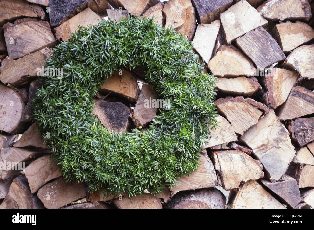 Corona di Yew davanti a un mucchio di legna da ardere, Renania settentrionale-Vestfalia, Germania Foto Stock