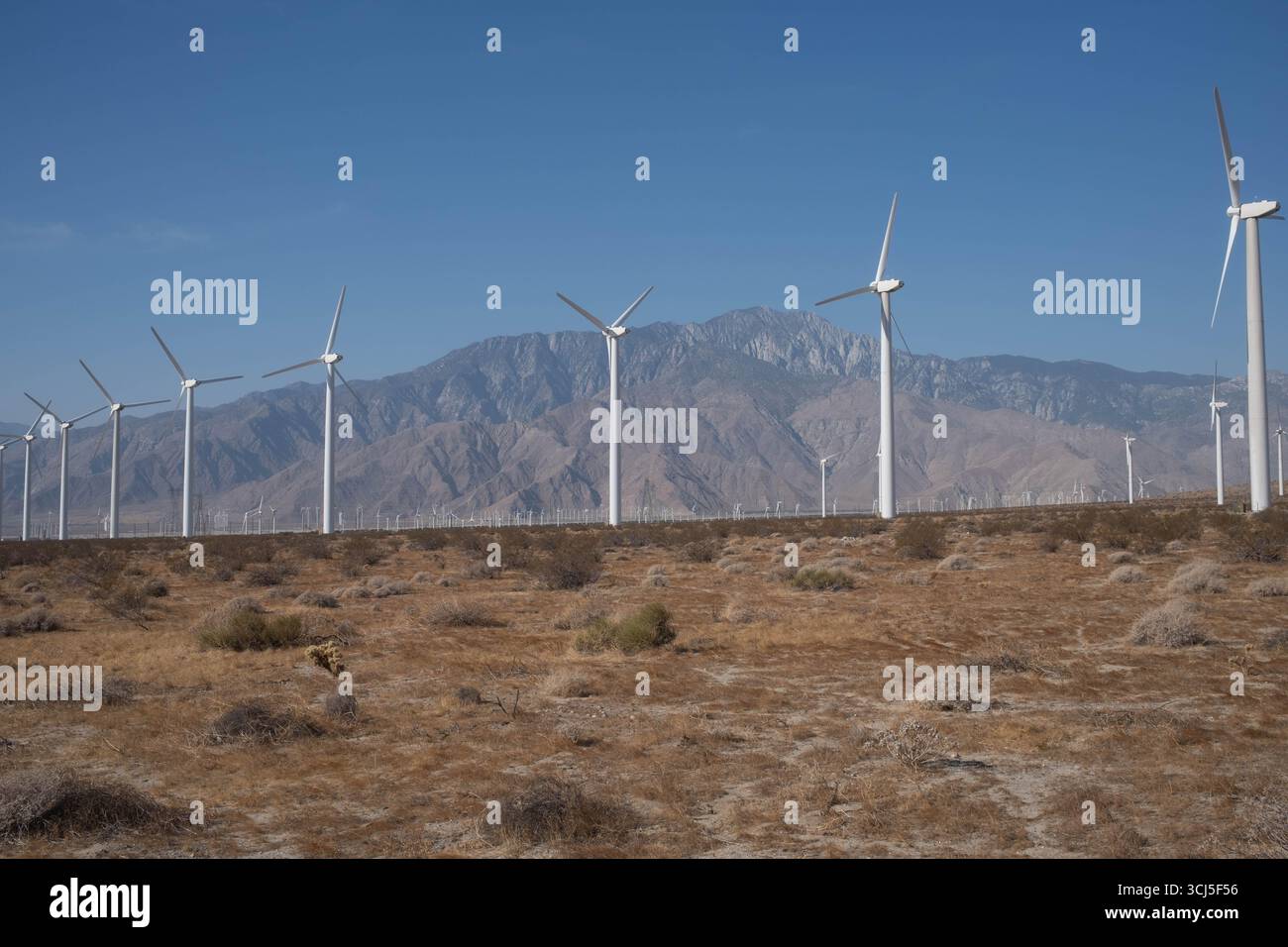Palm Springs, California, Stati Uniti d'America Foto Stock