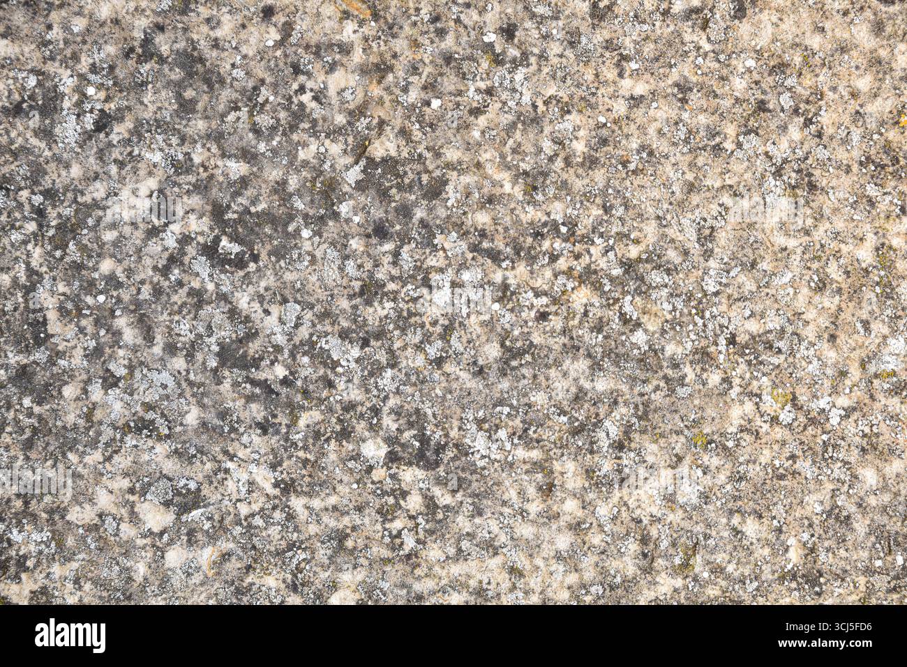 Dettaglio di pietra di granito naturale ruvida, usurata e sporca con gradienti scuri e chiari. Foto Stock