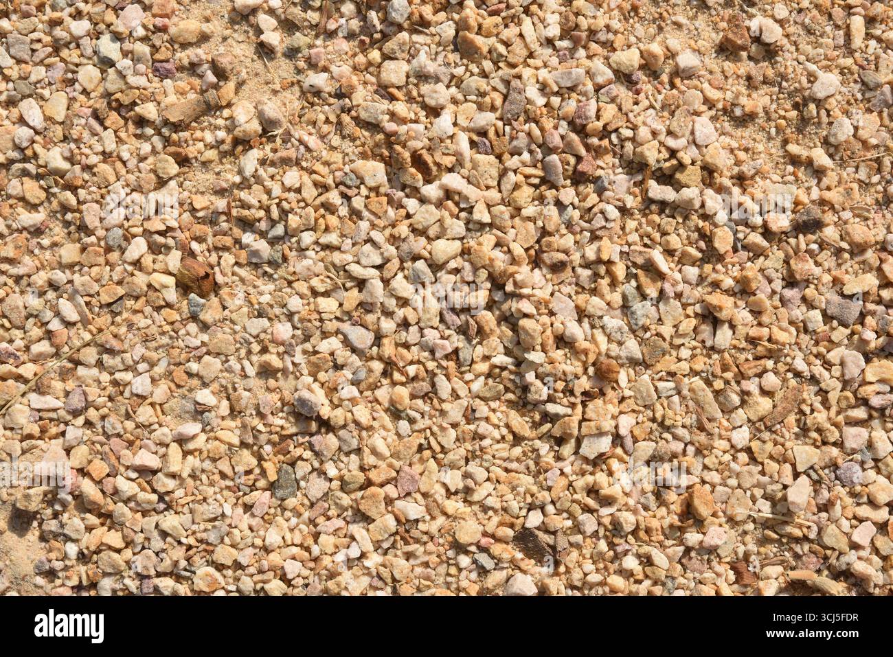 Dettagli macro di sfondo di un percorso con sporco e piccole pietre in una giornata di sole. Vista dall'alto. Foto Stock
