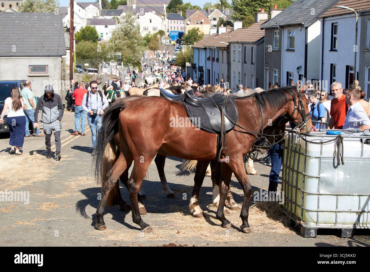 zona commerciale di cavalli presso la fiera aul lammas ballycastle county antrim irlanda del nord regno unito Foto Stock