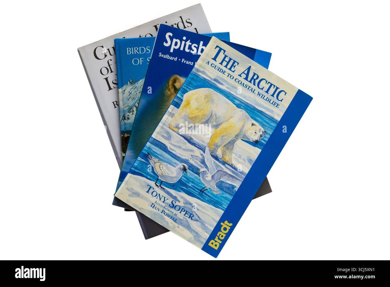 Selezione di libri cartacei con l'Artico una guida alla fauna selvatica costiera di Tony Soper in cima isolati su sfondo bianco Foto Stock