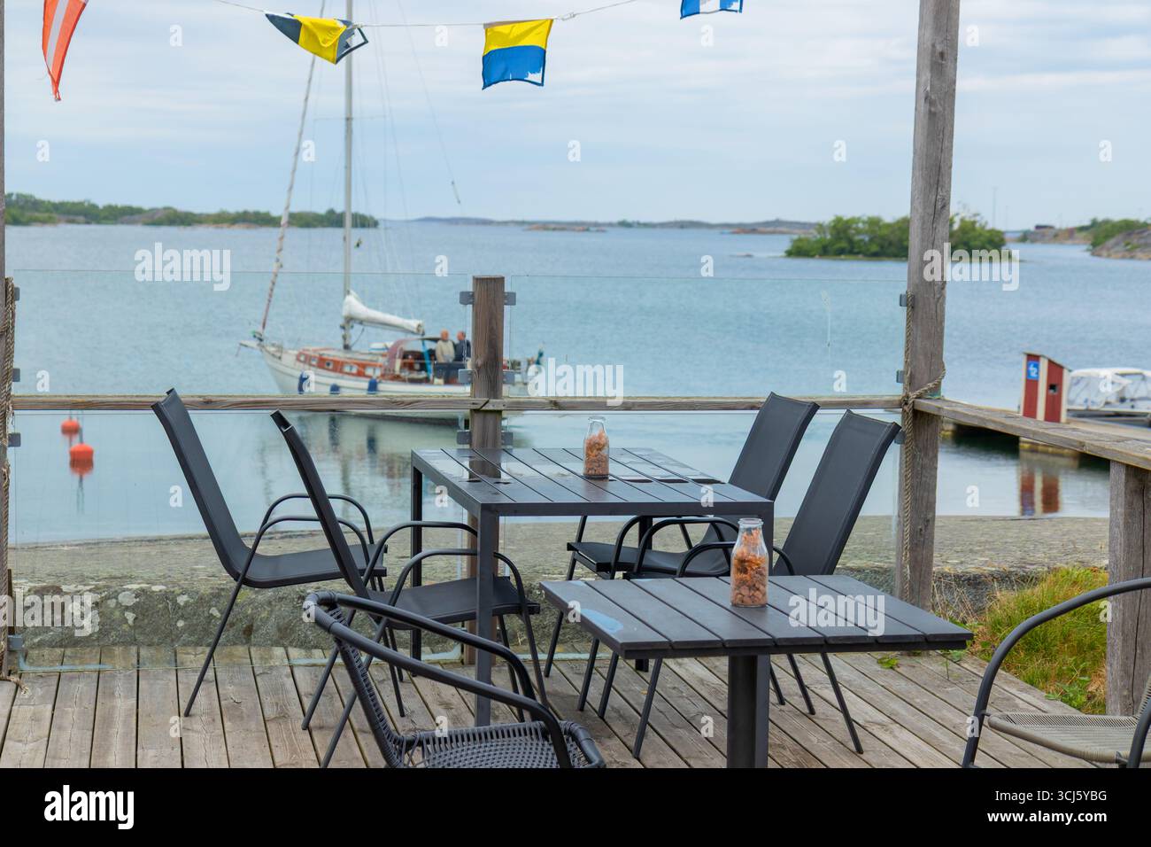 Alberi abbattuti in un’area urbana, evidenziando la deforestazione e la perdita di spazi verdi, sottolineando le sfide dell’architettura paesaggistica urbana e dell’impatto ambientale, Foto Stock
