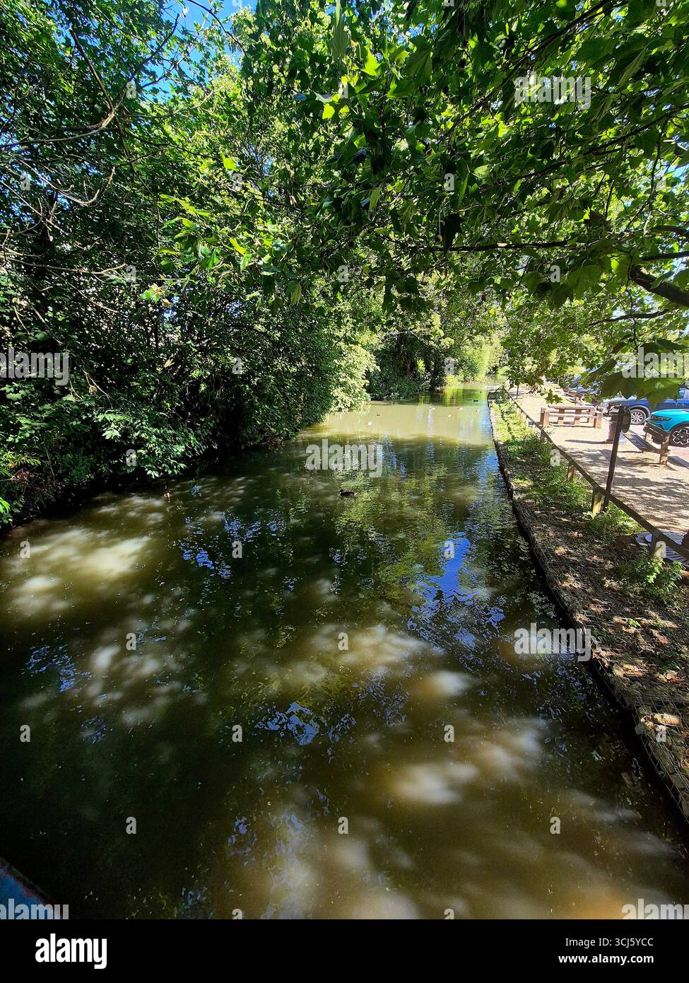 Fiume Burford, alberi e sotto copertura - Immagine stock catturata con smartphone