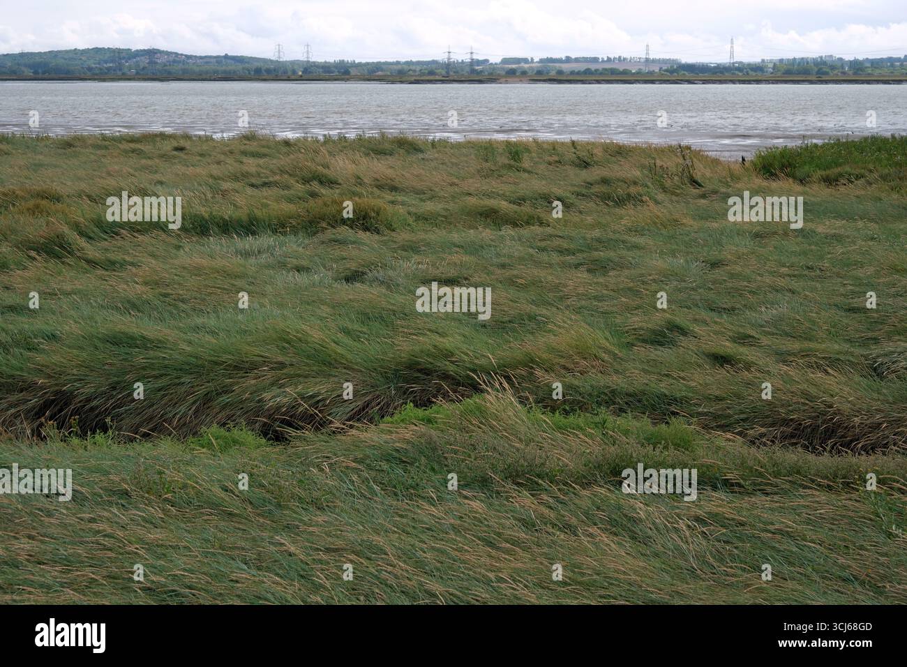 Saline East Tilbury, Thurrock, Inghilterra Regno Unito Foto Stock