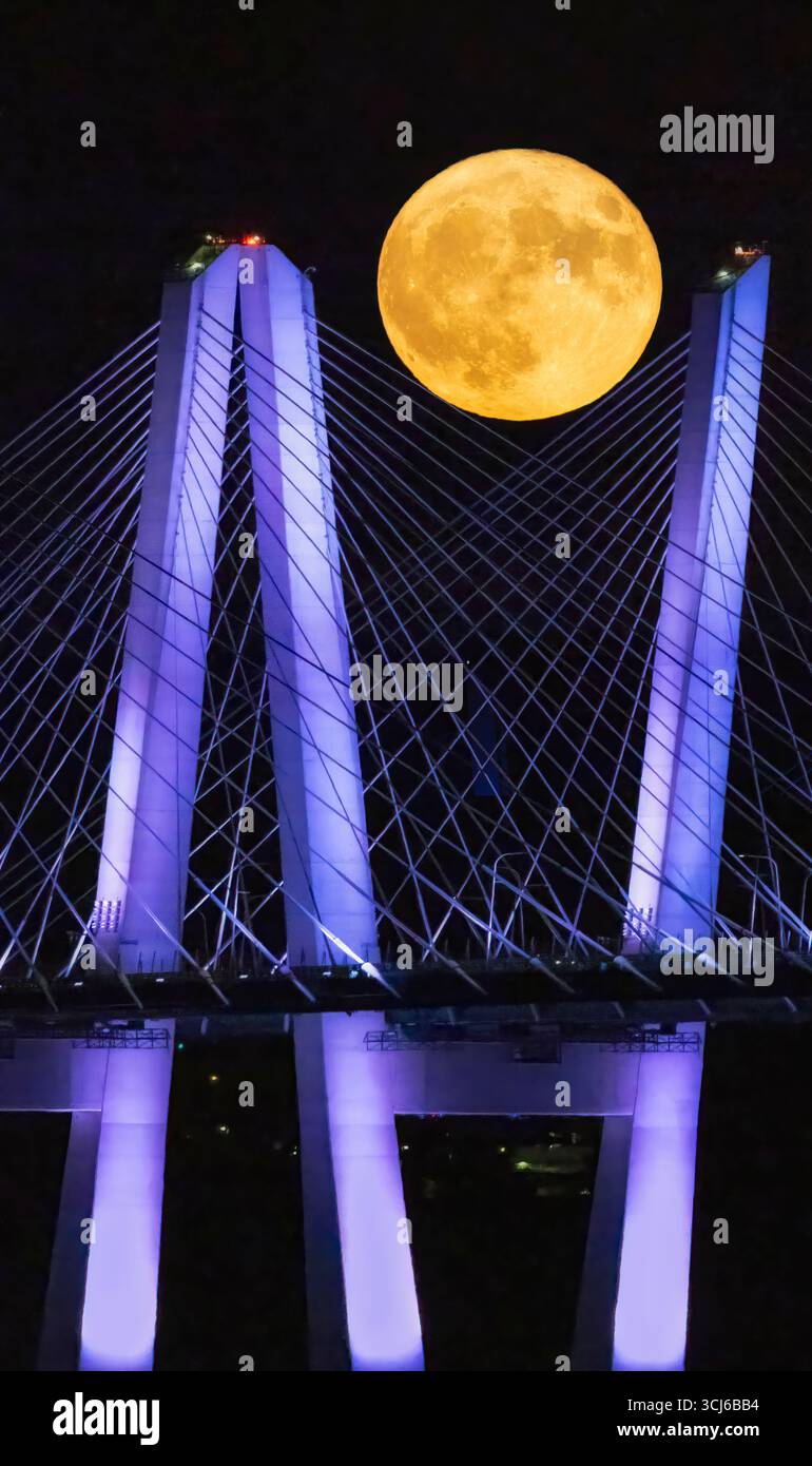 La luna Super Sturgeon sorge sul ponte Tappan Zee Foto Stock