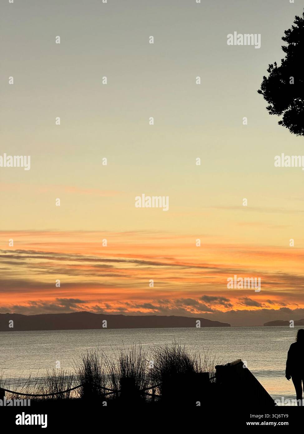 Baia blu e spiaggia di sabbia nelle giornate soleggiate sotto il cielo azzurro della penisola di coromandel nel paesaggio della nuova zelanda ritratto durante il tramonto - Immagine stock catturata con smartphone