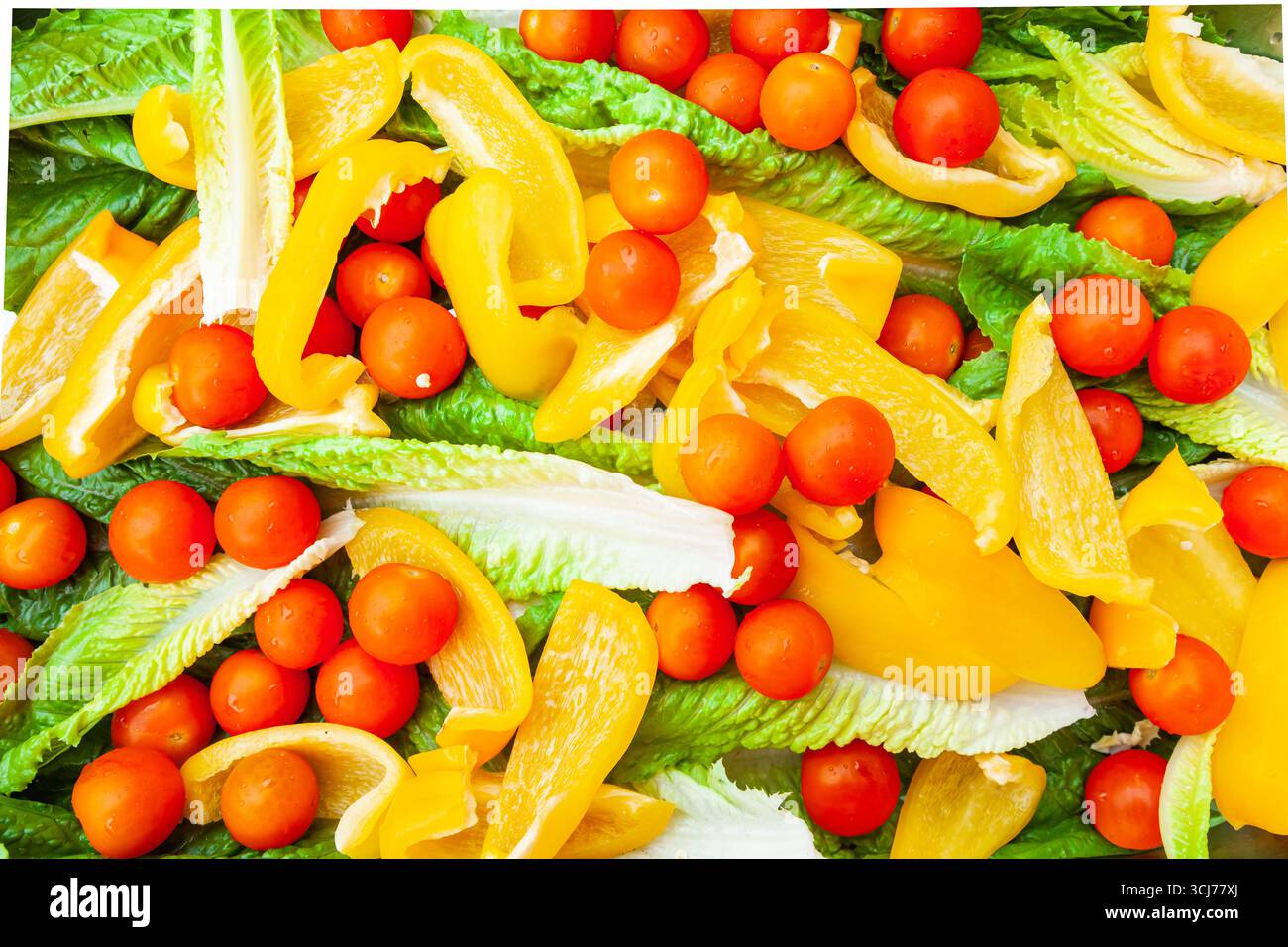 Insalata fresca di pomodori ciliegini interi, peperoni gialli a fette e foglie di lattuga. Foto Stock