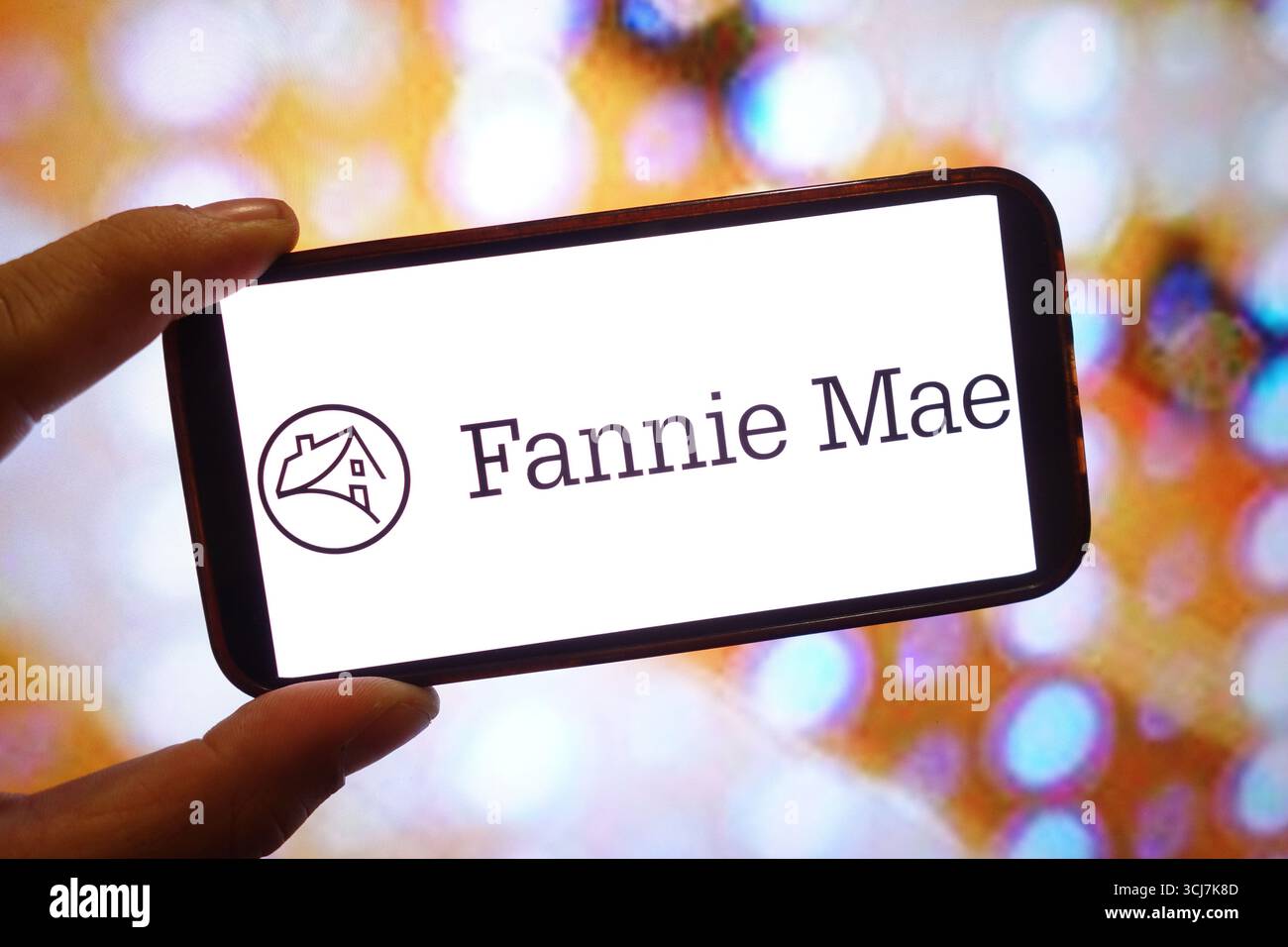 In questa immagine, un logo aziendale Fannie Mae viene visualizzato sullo schermo di uno smartphone. Foto Stock