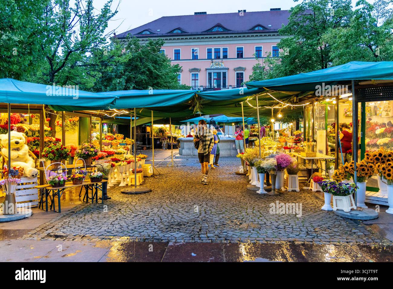 Mercato dei fiori a Piazza del sale (Plac Solny), Breslavia, Polonia Foto Stock