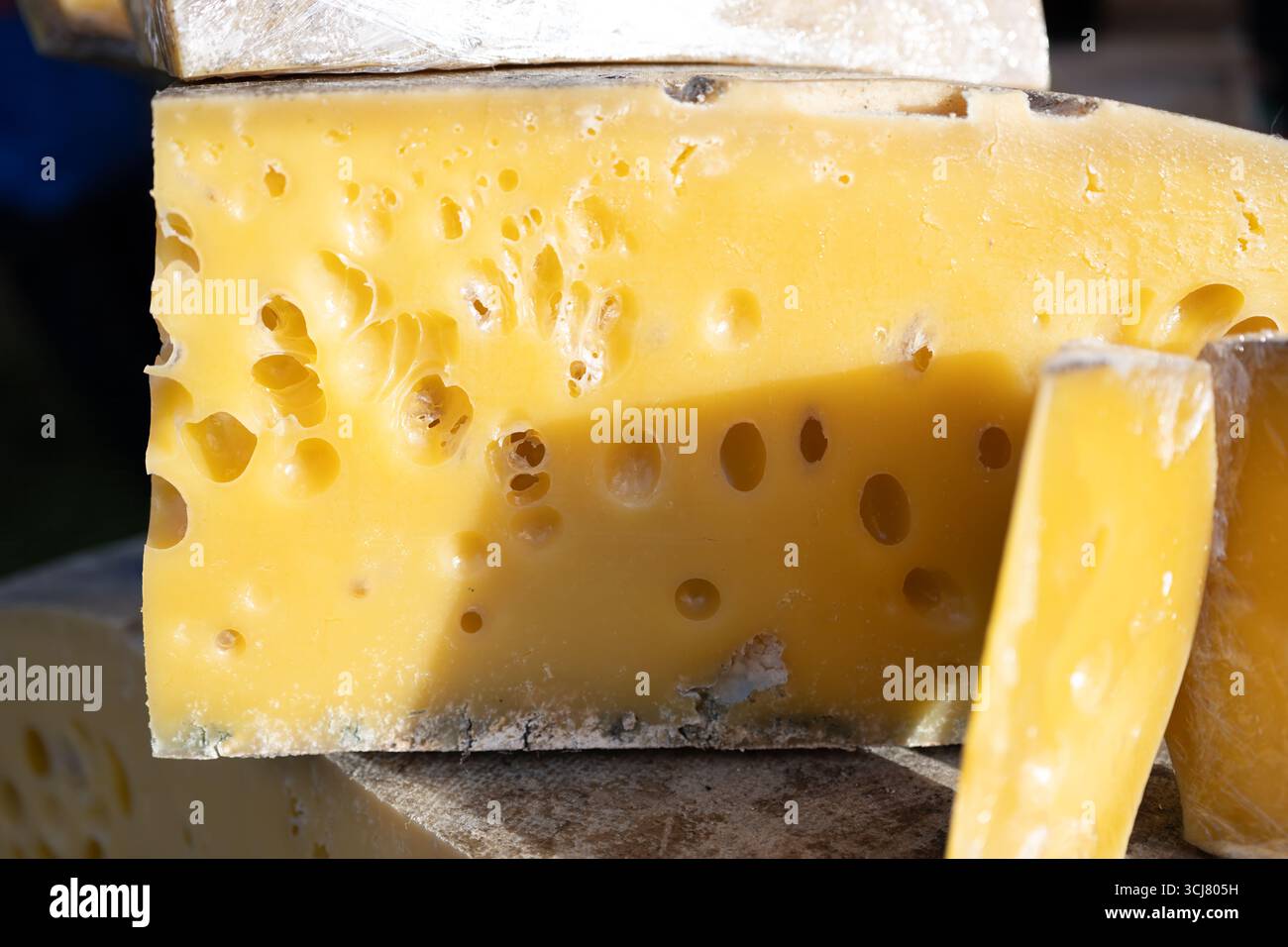 Primo piano di formaggio svizzero con fori (stile Emmental) Foto Stock