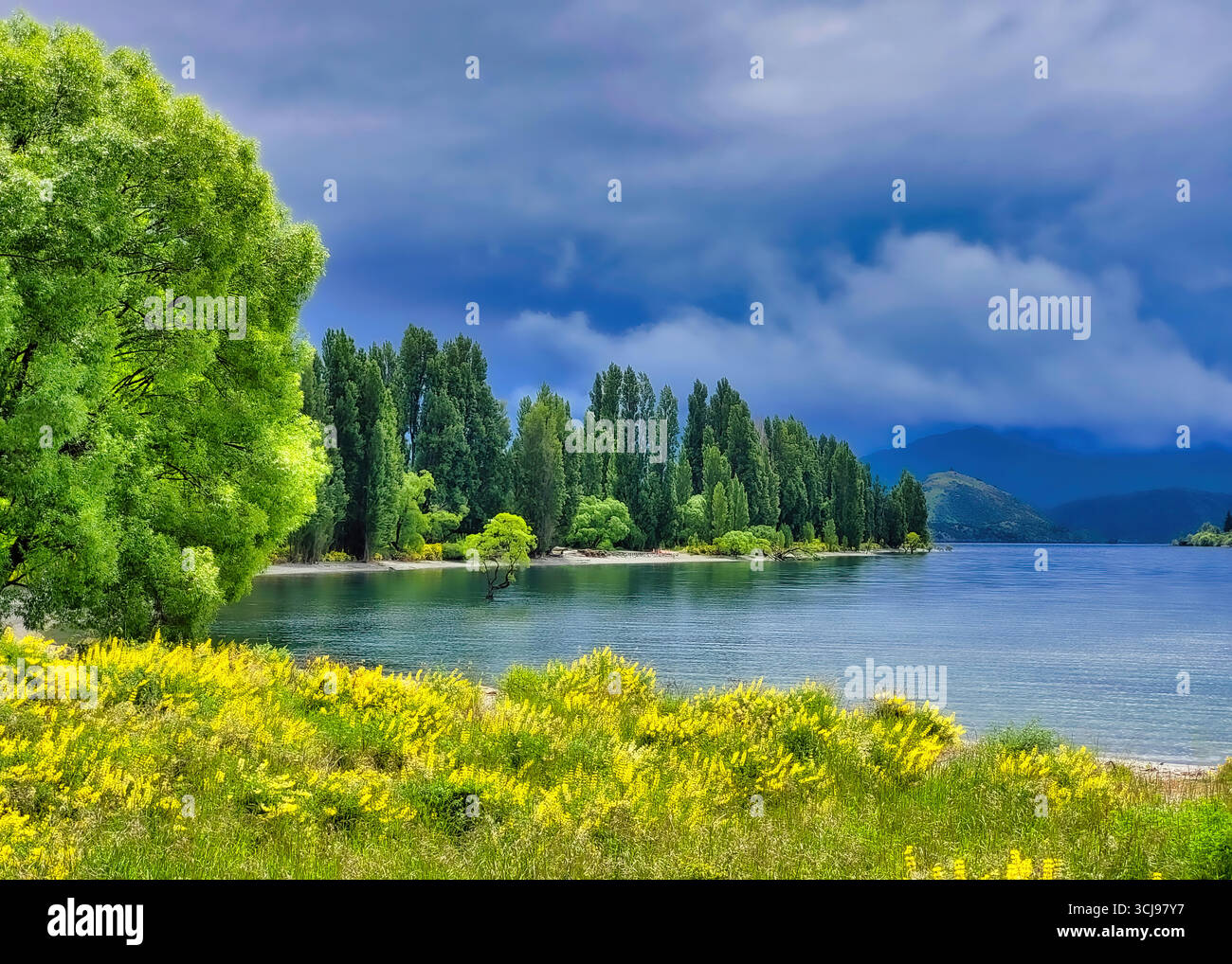 Vista panoramica del lago Wanaka con riflessi delle montagne delle Alpi meridionali, Otago, nuova Zelanda Illustrazione Vettoriale